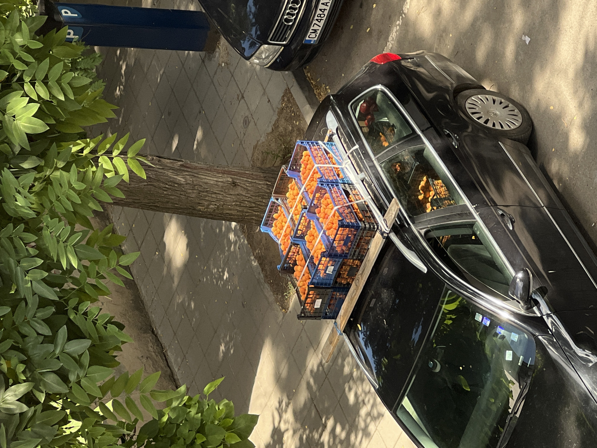 An aerial, eye-level, medium shot captures a black station wagon parked on a paved street in Plovdiv, Bulgaria. The vehicle's roof rack is laden with at least seven blue plastic crates filled with bright orange apricots. The crates are stacked two high on the front of the rack and one high on the back. The car is parked next to a sidewalk with a cobblestone pattern, bordered by a low wall. A tree with green leaves shades the scene, its trunk positioned behind the car and to the left. In the background, a blue parking sign with white "P" logos is visible. A second black car, a sedan, is parked further down the street to the right, its license plate visible as "CM 7484 A". The overall scene suggests a sunny day, with dappled sunlight and shadows cast across the pavement and sidewalk. No people are visible in the image.