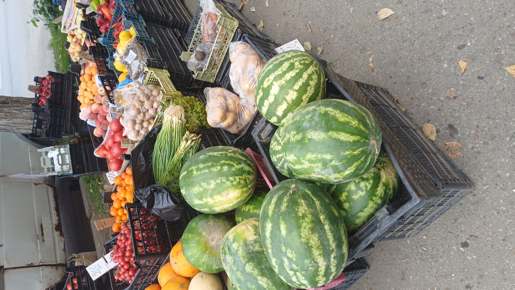 The image shows an outdoor market stall in Izhevsk, Russia, selling a variety of fresh produce. In the foreground, several large watermelons are displayed in black plastic crates. Behind the watermelons, bunches of green onions are visible, along with bags of potatoes and carrots in a lighter colored crate. Further back, there are crates filled with radishes, oranges, tomatoes, peaches, apples, and red peppers. The stall appears to be set up on a paved surface, with a white vehicle visible in the background. The overall impression is of a vibrant, local food market.