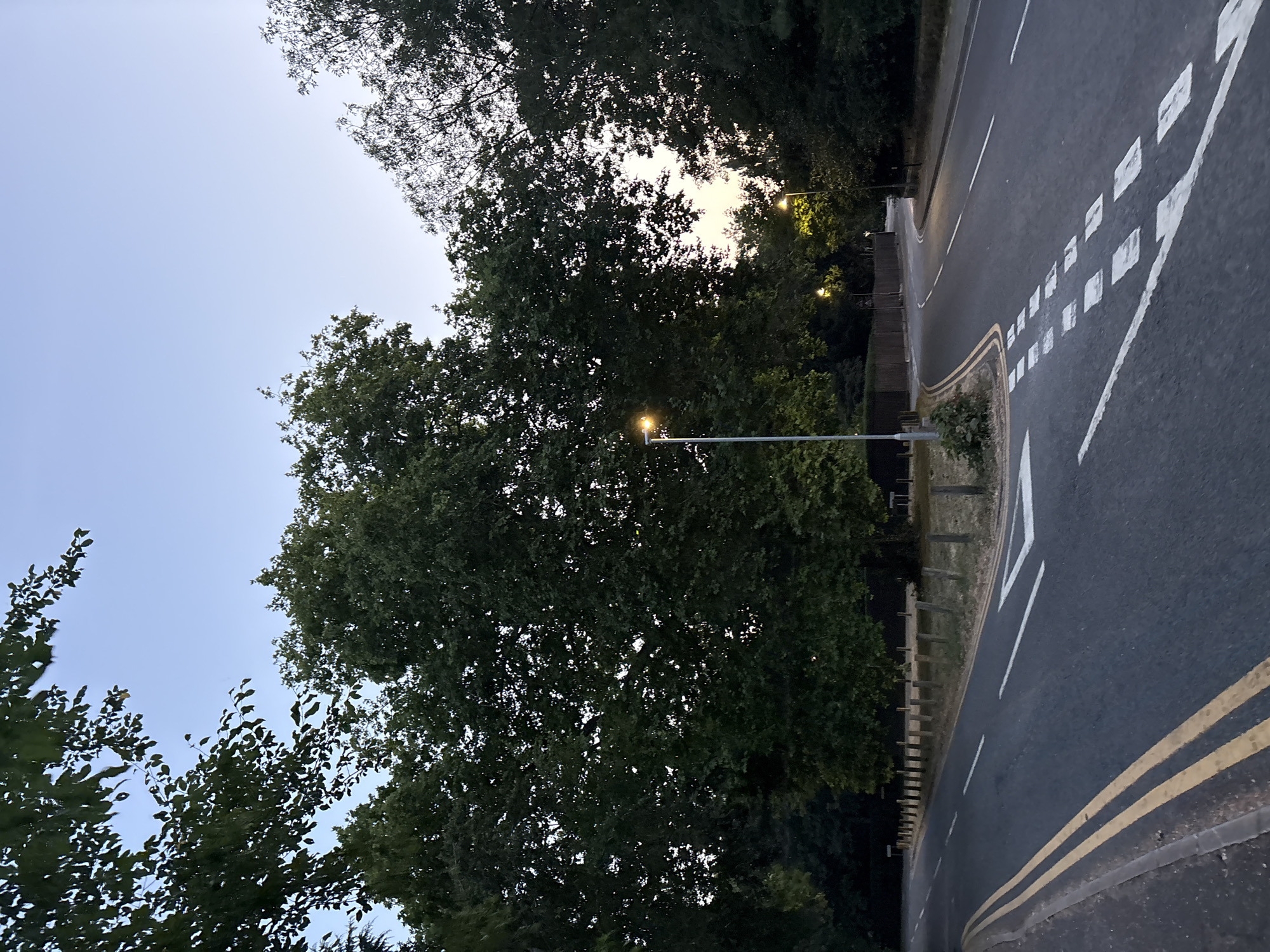 The image depicts a two-lane road with yellow double lines marking the center, suggesting a road in the United Kingdom. The road curves to the right, with a pedestrian crossing indicated by dashed white lines. The scene is set during twilight, as evidenced by the clear, pale blue sky and the illumination from streetlights. Dense foliage from large trees lines both sides of the road, casting shadows and creating a somewhat dim environment. A lamppost stands to the left of the road, and several more are visible in the distance along the right side. There are no people or vehicles visible in the image. The area appears to be a suburban or parkland setting, potentially within the city of Chelmsford, United Kingdom, given its characteristic road markings and mature trees.