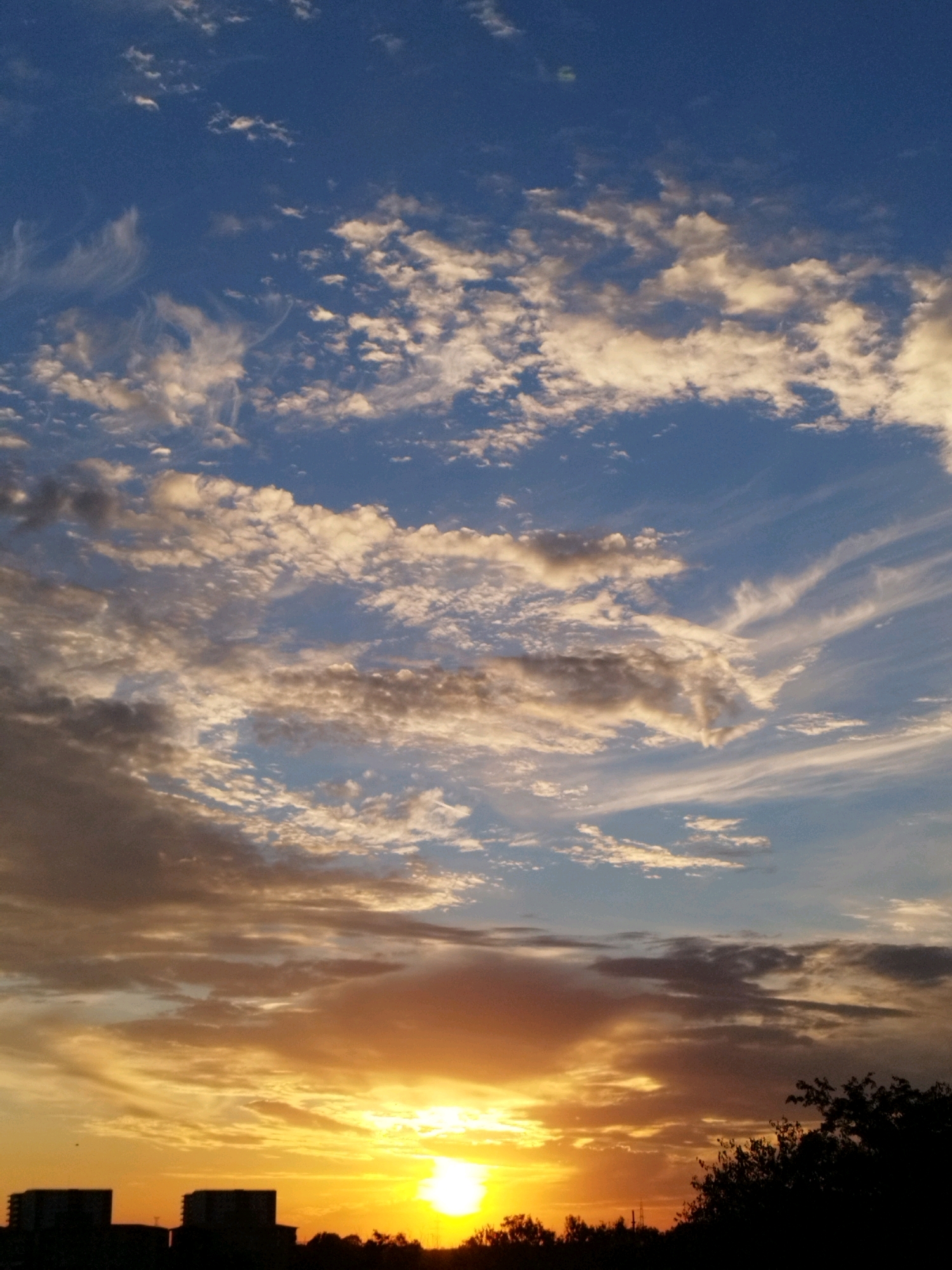 A photograph captures a sunset over Bucharest, Romania. The sky is a canvas of vibrant colors, transitioning from a deep blue at the top to fiery oranges and yellows near the horizon. Wispy clouds are scattered across the sky, catching the golden light of the setting sun. In the foreground, silhouetted against the dramatic sky, are the dark shapes of buildings and trees, suggesting an urban landscape. The image evokes a sense of natural beauty and tranquility as day gives way to night.