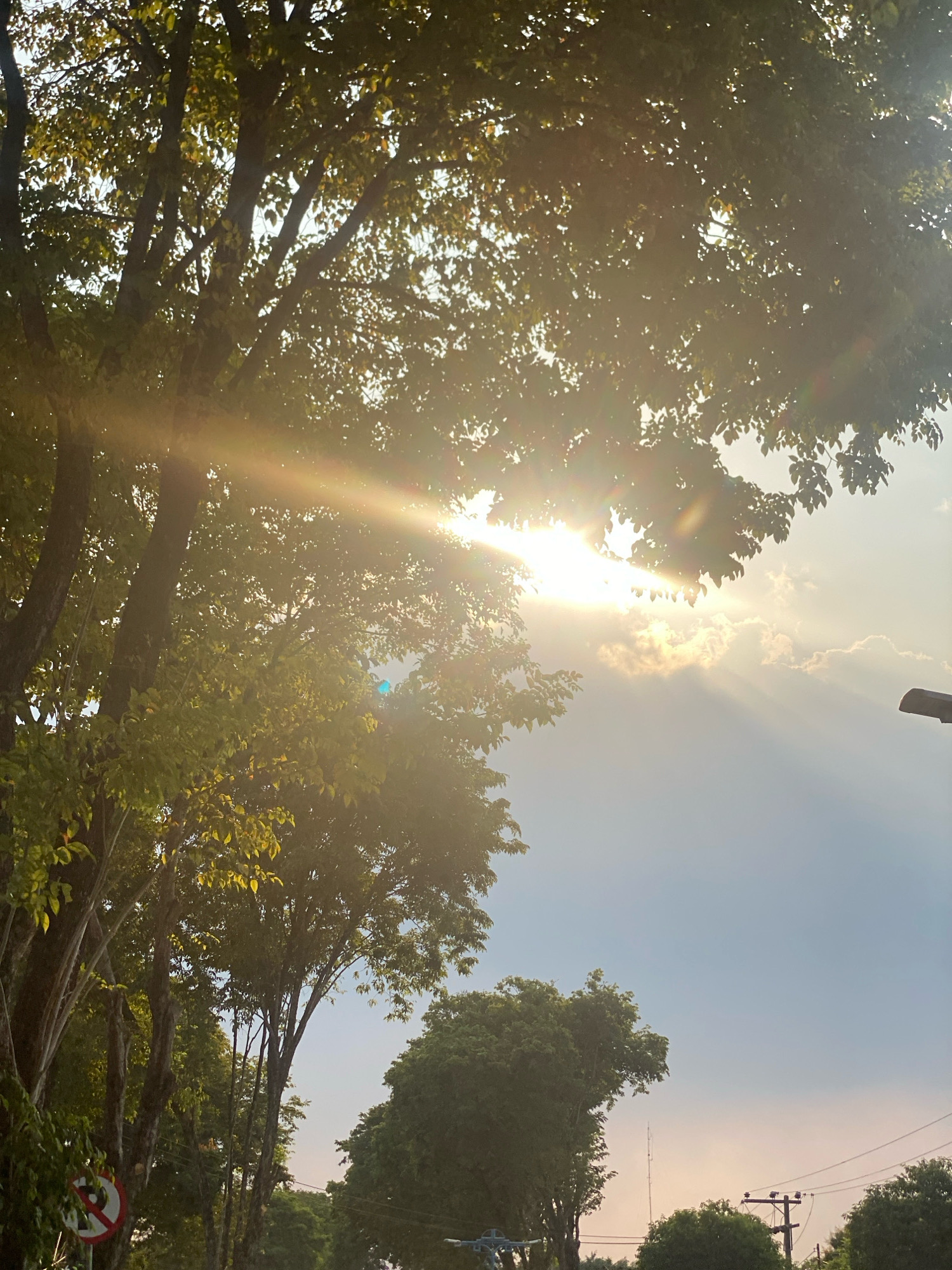 This image captures a serene street scene in Banjarbaru, Indonesia, likely during the late afternoon or early morning as the sun casts a warm glow. Tall trees line the left side of the street, their dense foliage creating a canopy that allows sunlight to stream through in bright, ethereal rays. The sun itself is partially obscured by clouds, creating a beautiful play of light and shadow.
A circular red and white sign with a diagonal line through it, indicating "No Parking," is visible on the left side of the frame, a common urban traffic sign. Further down the street, a lamppost stands tall. The sky transitions from a soft blue at the top to a warmer, hazy hue towards the horizon, suggesting the sun's presence.
In the background, more trees and greenery are visible, interspersed with utility poles and wires, characteristic of a developed urban area. The overall impression is one of natural beauty harmoniously coexisting with the urban landscape of Banjarbaru. There are no people or animals clearly depicted in this image.