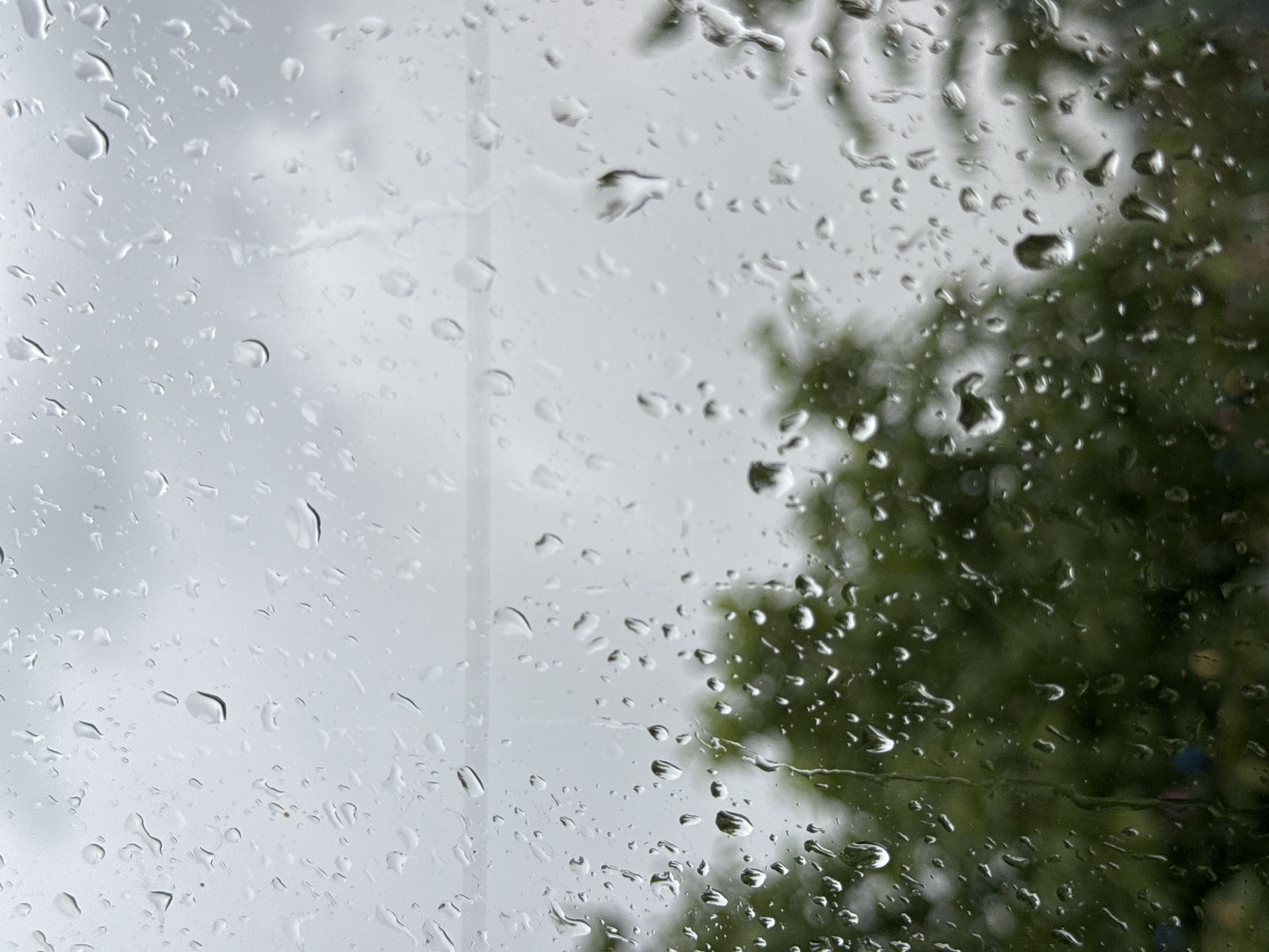 A close-up, exterior shot captures raindrops on a windowpane, distorting the view of the overcast sky and blurred green foliage behind. The water droplets vary in size and shape, some clinging to the glass and others streaking downwards, creating a textured and abstract foreground.