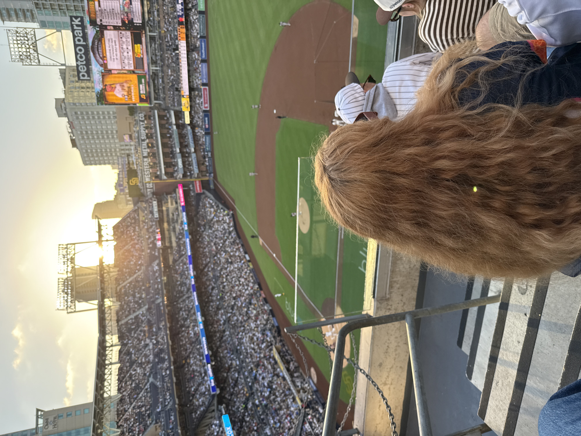 This is a horizontal, eye-level, medium shot taken from stadium seating at Petco Park in San Diego, California, during a baseball game. The sun is setting, casting a warm glow over the stadium. In the foreground, the back of a person with long, wavy, red hair fills the right side of the frame. To the left of this person, partially visible, is another spectator wearing a white and grey pinstripe baseball cap and hoodie. Further to the left, a portion of the stadium seating is visible, packed with spectators. The baseball field is in the midground, with players on the infield. The background shows the cityscape of San Diego, including tall buildings and the "Petco Park" sign. The stadium is illuminated by bright lights, suggesting the game is ongoing.