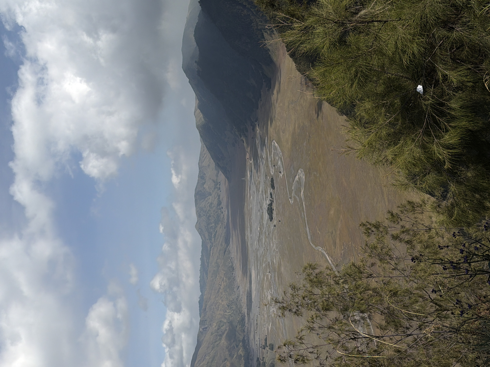 The image depicts a vast, arid valley with a winding river or dry riverbed. Rolling, barren hills form the backdrop, with a rugged mountain range in the distance. The sky is partly cloudy, with a mix of white clouds and patches of blue. In the foreground, a dense cluster of vegetation, including trees with fine needles and some darker, flowering bushes, partially obscures the view of the valley. A white object, possibly a piece of trash, is lodged in the branches of the dense green foliage on the right side of the frame. The scene appears to be a natural landscape, likely a caldera or basin, possibly within or near the vicinity of Cemorolawang, Indonesia, which is known for its volcanic landscapes. There are no people visible in the image, and no specific actions or interactions are taking place. The environment is characterized by dry, earthy tones in the valley, contrasted with the green of the foreground vegetation and the blue and white of the sky.