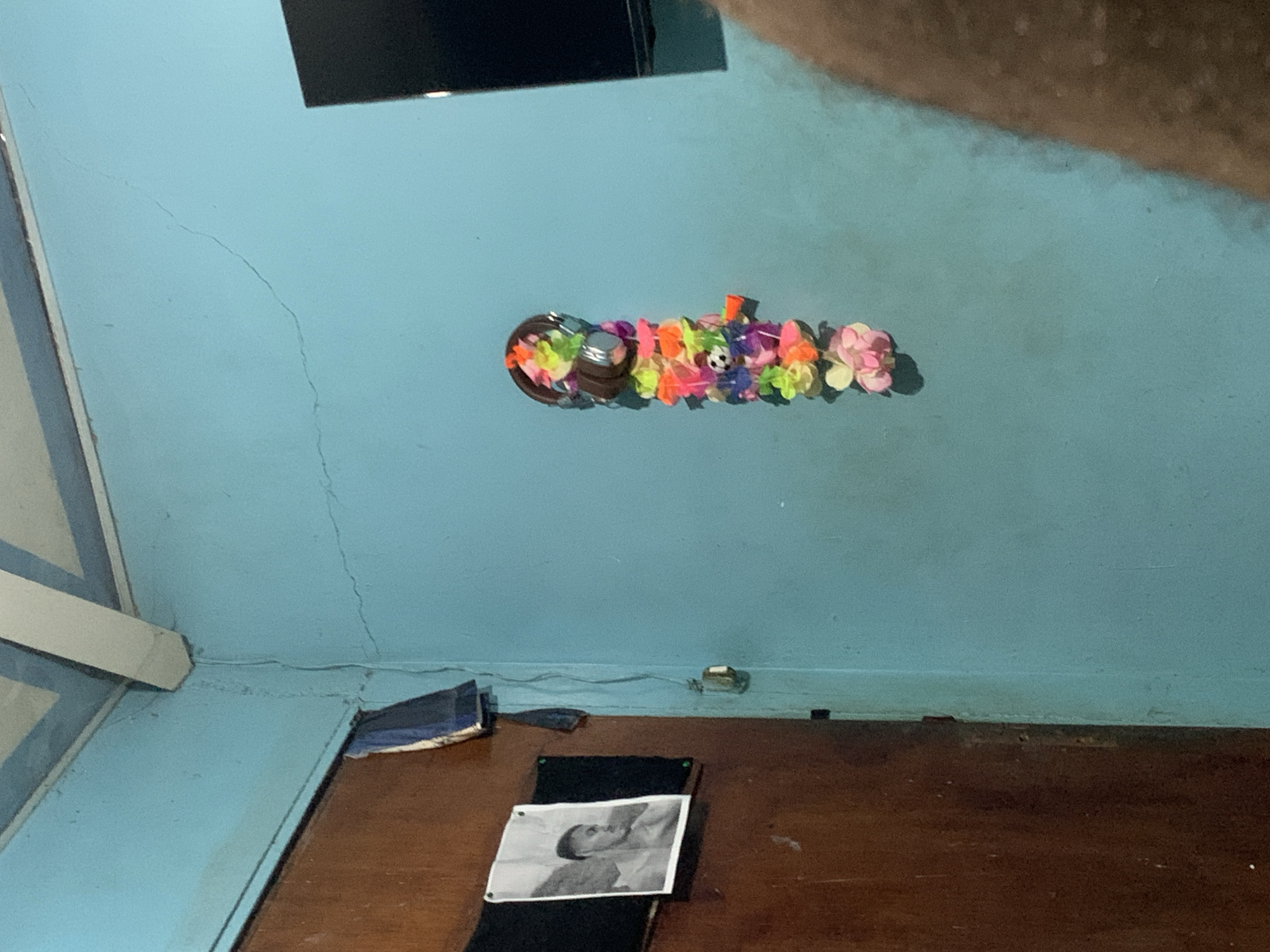 The image depicts an indoor scene with a light blue wall. A wooden door is visible on the left side of the frame, with a black and white portrait of a man hanging on it. To the right of the door, a colorful string of artificial flowers is attached to the wall. A dark rectangular object, possibly a television screen, is present on the upper right side of the wall. The ceiling, painted white, is visible in the upper portion of the image. The environment appears to be a room in a residential setting, possibly in the city of Santa Ana, Venezuela.