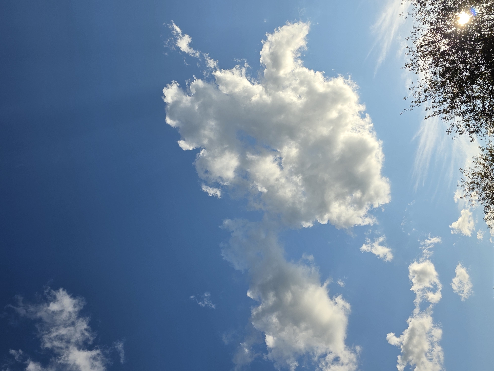 The image depicts a bright blue sky with scattered white cumulus clouds and some wispy cirrus clouds. In the foreground, the tops of trees with dark green foliage are visible, partially silhouetted against the sky. The sun is shining brightly through the branches of the trees on the right side of the frame, creating lens flare. There are no people or discernible structures visible in this image. The scene appears to be an outdoor environment, possibly a park or a residential area. The location is identified as Magnitka, Russia.