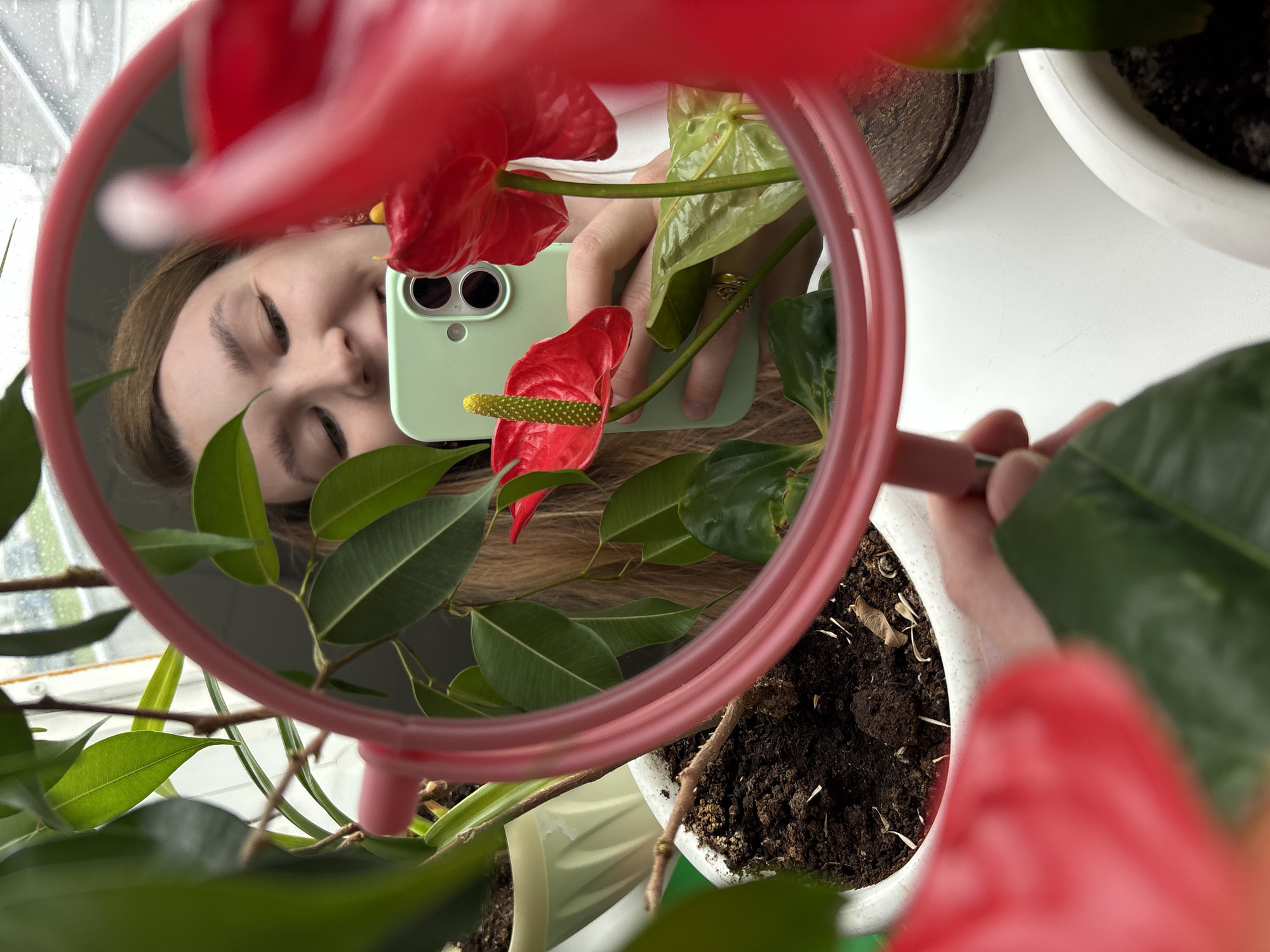 An indoor, vertical shot taken in Izhevsk, Russia, captures a person taking a mirror selfie amidst houseplants. The central focus is a small, round mirror with a translucent pink frame, reflecting the image of a person and a plant.
Inside the mirror, the person's face is visible, appearing to be female, with eyes closed or squinting, and light brown hair. She is holding a light green smartphone with dual cameras, which is also reflected. Her hands, adorned with rings on one finger, are partially visible, grasping the phone and the mirror's handle. A vibrant red anthurium flower with a yellow spadix is prominently featured in the mirror's reflection, held near the phone.
The mirror is positioned among several potted plants. Outside the mirror's reflection, blurred red anthurium flowers are visible in the immediate foreground and background, suggesting the mirror is placed within or in front of an anthurium plant. Numerous green leafy plants, possibly including a Ficus, fill the rest of the frame, some housed in white pots containing dark soil.
Through the reflected scene in the mirror, behind the person's head, a window pane with faint water droplets is discernible, suggesting natural light, possibly on an overcast or rainy day. The activity depicts a casual, personal moment of photography and self-reflection in a green, domestic setting. No visible text is present in the image.