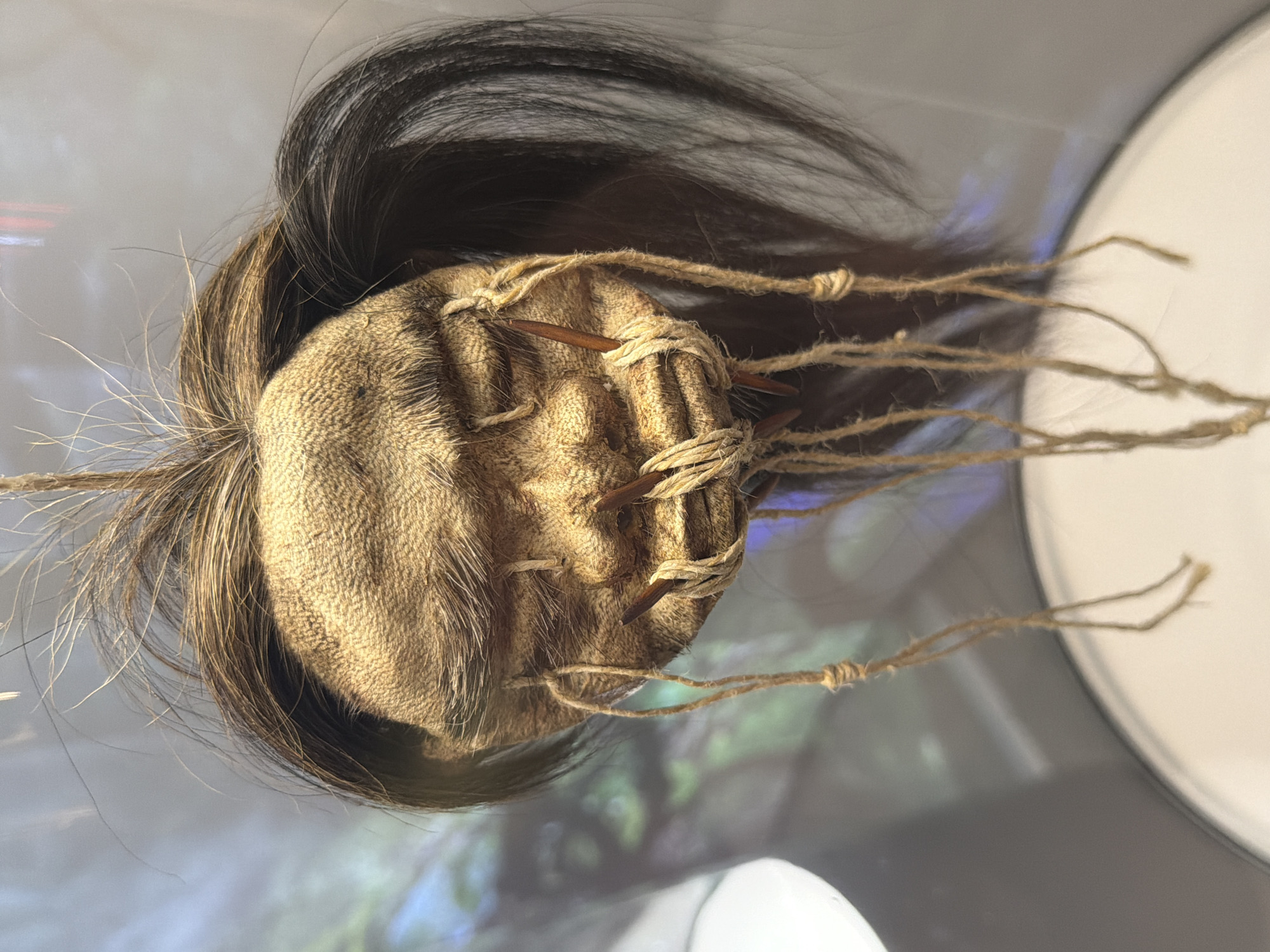 The image shows a shrunken head, likely a replica, on display. The "head" is composed of tanned skin, dark human hair, and light brown twine. Sticks or small rods are used to secure the twine. The background indicates an indoor setting with a blurred image, possibly a display or window. The location in the city of Saint Petersburg, Russia, is not verifiable from the image.