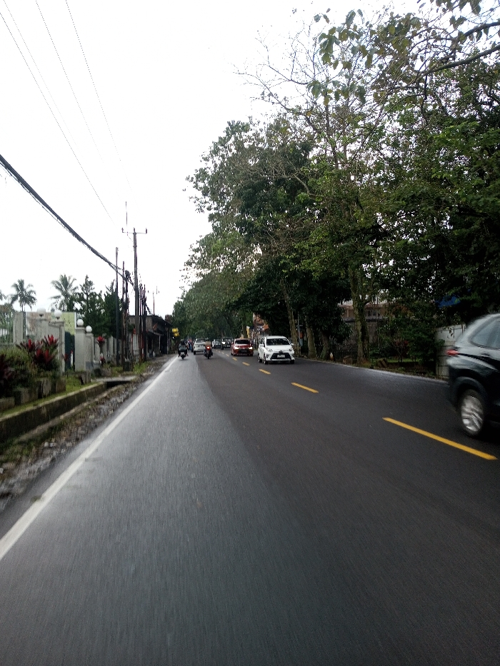 The image displays a multi-lane asphalt road in Dawathang_Dorjibi_ Kashingtsawa, Bhutan, viewed from a low perspective. The road surface appears wet or damp, reflecting the overcast, light grey sky. A double solid yellow line separates lanes in the center of the visible road, and a solid white line marks the left edge.
On the left side of the road, a concrete curb borders a shallow drainage ditch and an unpaved strip featuring red-leafed plants. Beyond this, a white ornamental fence or wall runs parallel to the road, leading to partially obscured buildings and utility poles carrying numerous overhead power lines. Palm trees are visible further in the background on this side.
The right side of the road is lined with a dense canopy of mature trees, exhibiting both full green foliage and some bare branches. Buildings are faintly discernible behind the tree line.
Traffic is moving away from the viewer. In the rightmost lane, a black SUV is partially visible in the immediate foreground. Further down, a white sedan and a red SUV are present, followed by additional vehicles in the distance. In the adjacent left lane, two motorcycles are visible, with the closest rider wearing a helmet. No other discernible individuals or interactions are visible.