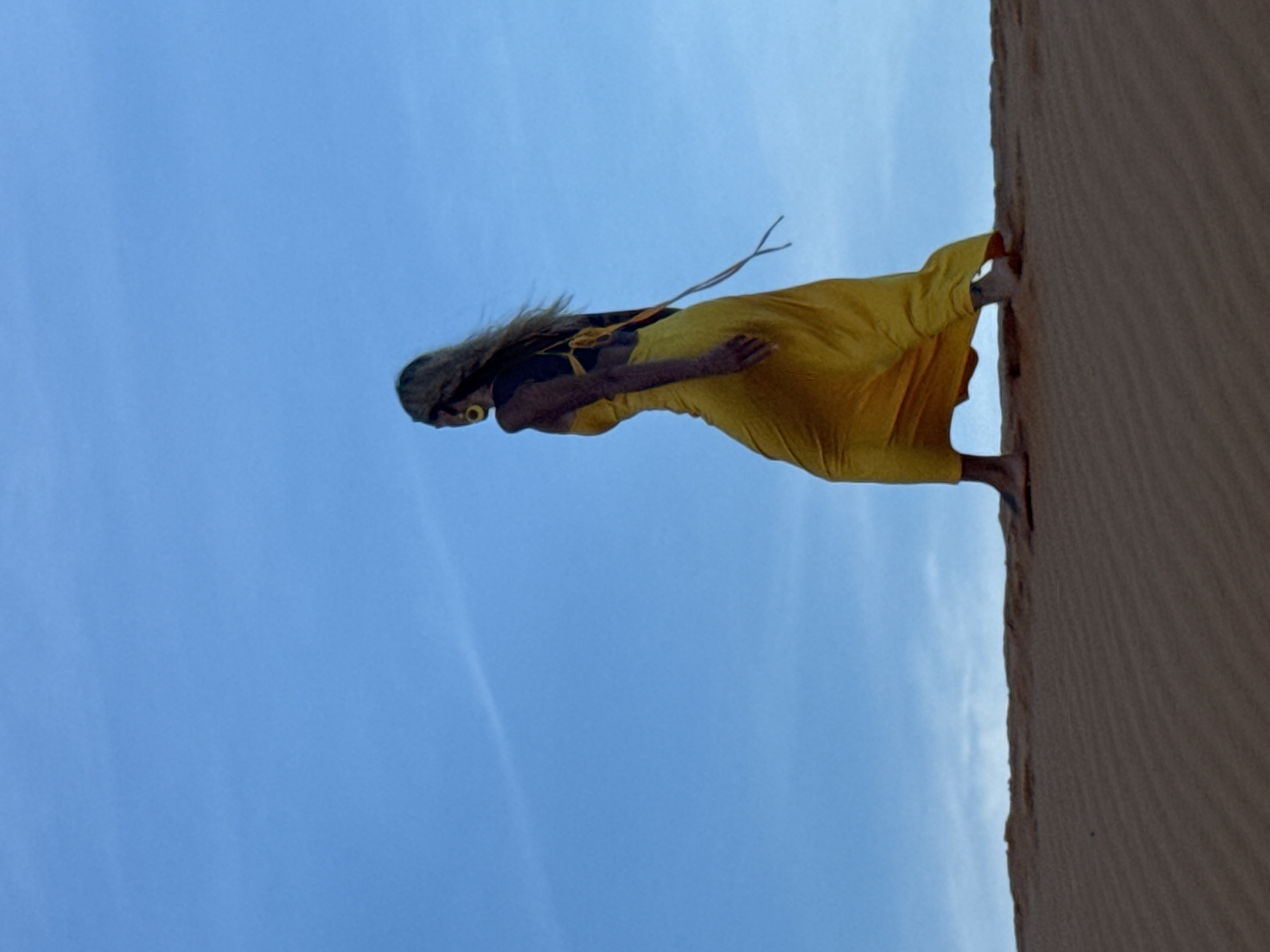 A woman in a flowing yellow dress walks across a sand dune under a clear blue sky. The woman is seen from behind, with her long blonde hair blowing in the wind. She is wearing large hoop earrings. The sand dune is textured with ripples, indicating a windy environment. The scene appears to be a desert landscape, possibly in Mũi Né, Vietnam, known for its sand dunes.