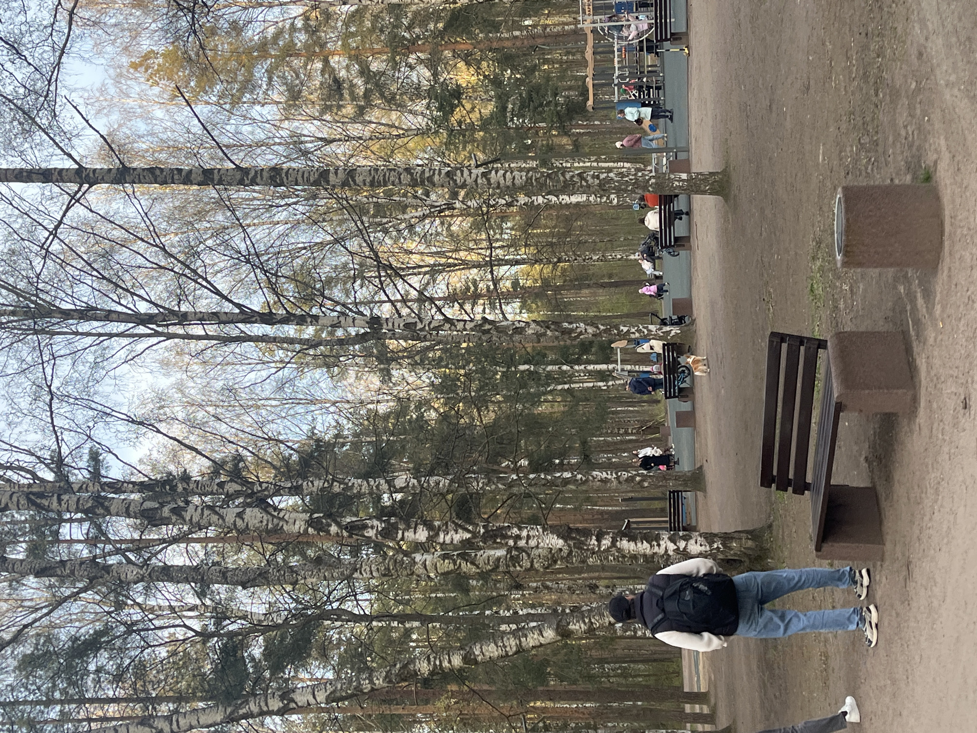 The image depicts a park scene in Saint Petersburg, Russia. The park is densely populated with birch trees, easily identifiable by their white bark. A path runs through the park, with benches placed along its edges. People are scattered throughout the park, some sitting on the benches, others walking. In the foreground, a person wearing jeans, a black and white top, a black backpack, and white sneakers is walking. Other objects present include trash cans and exercise equipment in the background. The sky is visible through the bare branches of the trees, indicating it might be early spring or late autumn.