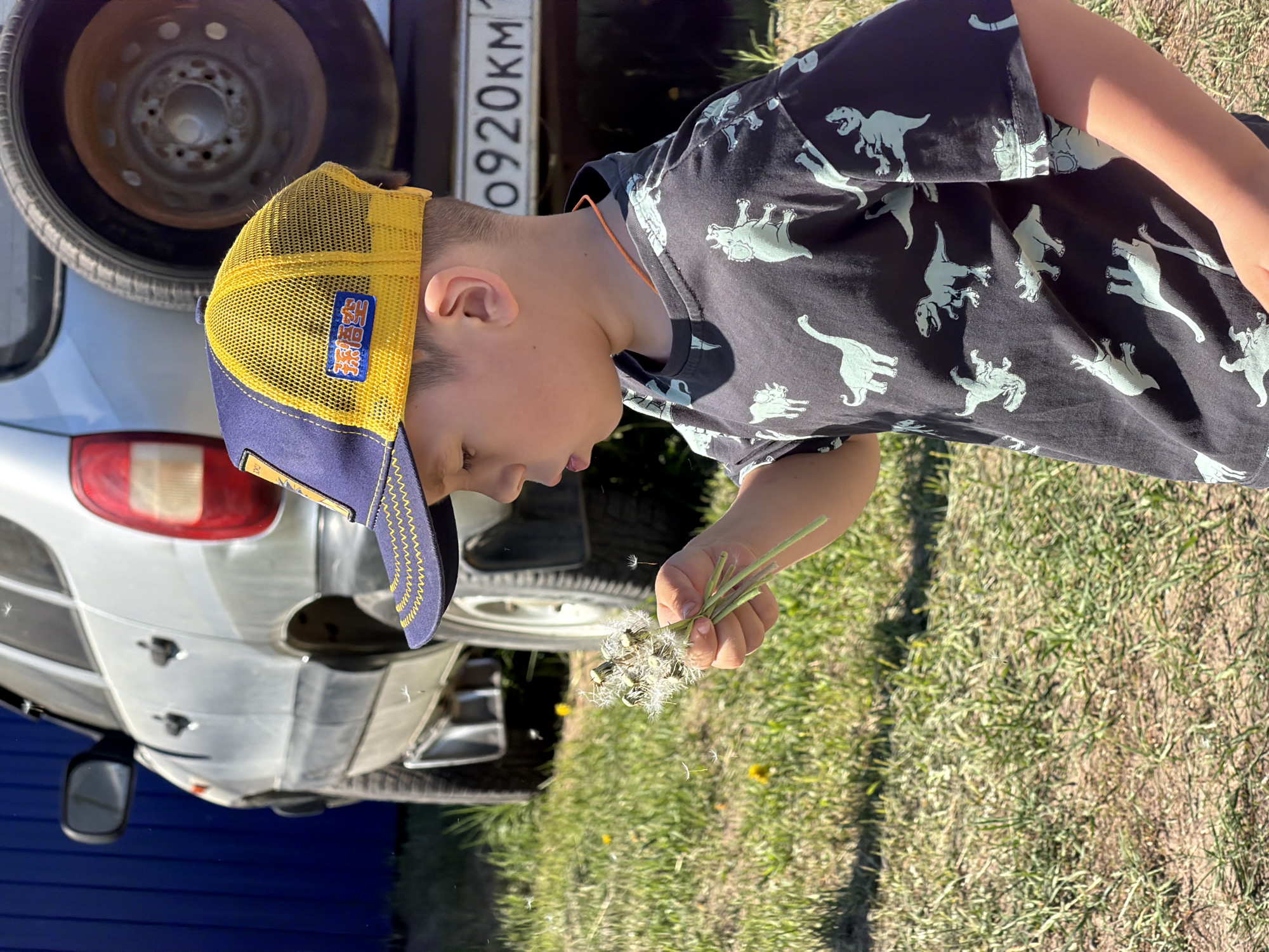 A child wearing a yellow and navy blue baseball cap and a dinosaur print t-shirt is blowing on a handful of dandelions in a grassy area. The background features a light-colored car, a spare tire mounted on the rear, and a license plate with "A0920KM" visible. A blue fence is partially visible in the lower left corner. The location is Chaikovsky, Russia based on the license plate format.