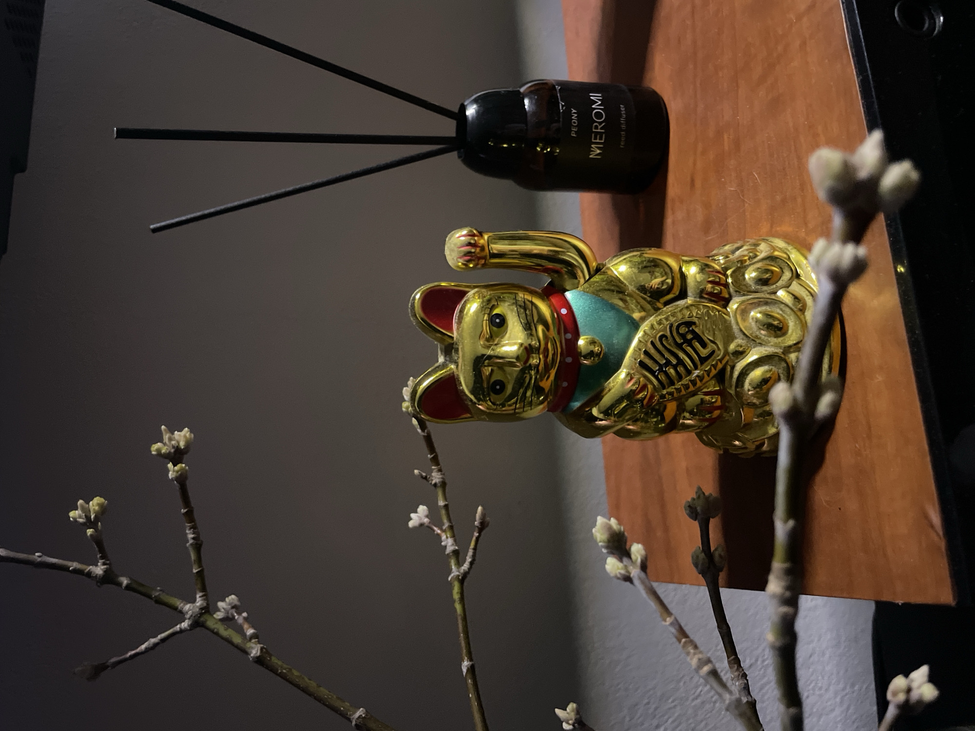 A still life arrangement on a wooden surface features a gold-colored Maneki Neko (lucky cat) figurine, a dark brown glass bottle labeled "MEROMI" with black diffuser reeds, and budding branches in the foreground. The background transitions from a lighter gray to darker shades. The arrangement appears to be photographed in an indoor setting. There is no information present to confirm the location is Chaikovsky, Russia.