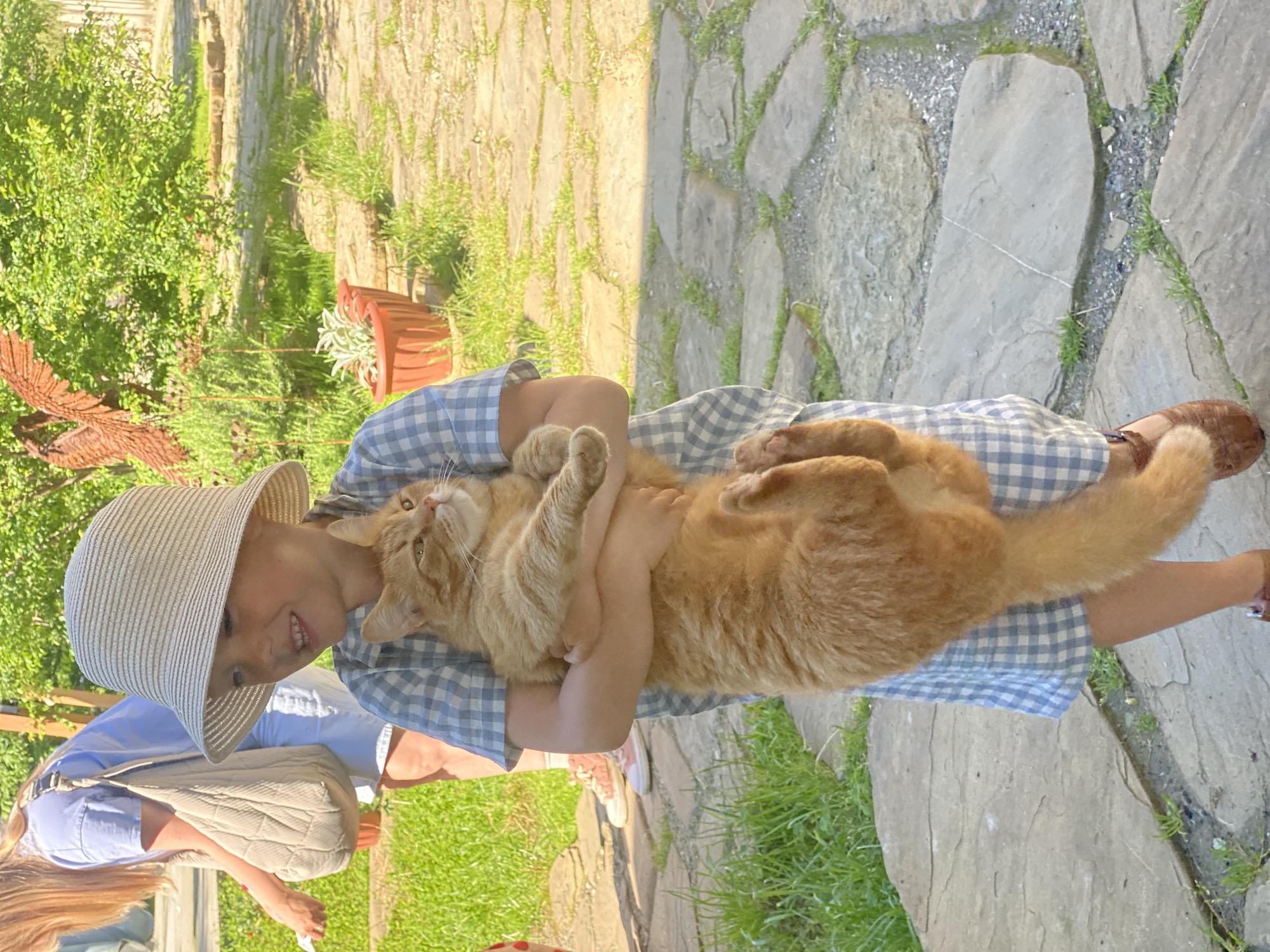 A young person wearing a straw hat and a blue and white gingham dress is holding an orange cat in their arms. They are standing on a stone path in a garden setting. The background includes greenery, plants in pots, and stone landscaping. The location is not identifiable as Прогресс, Russia.