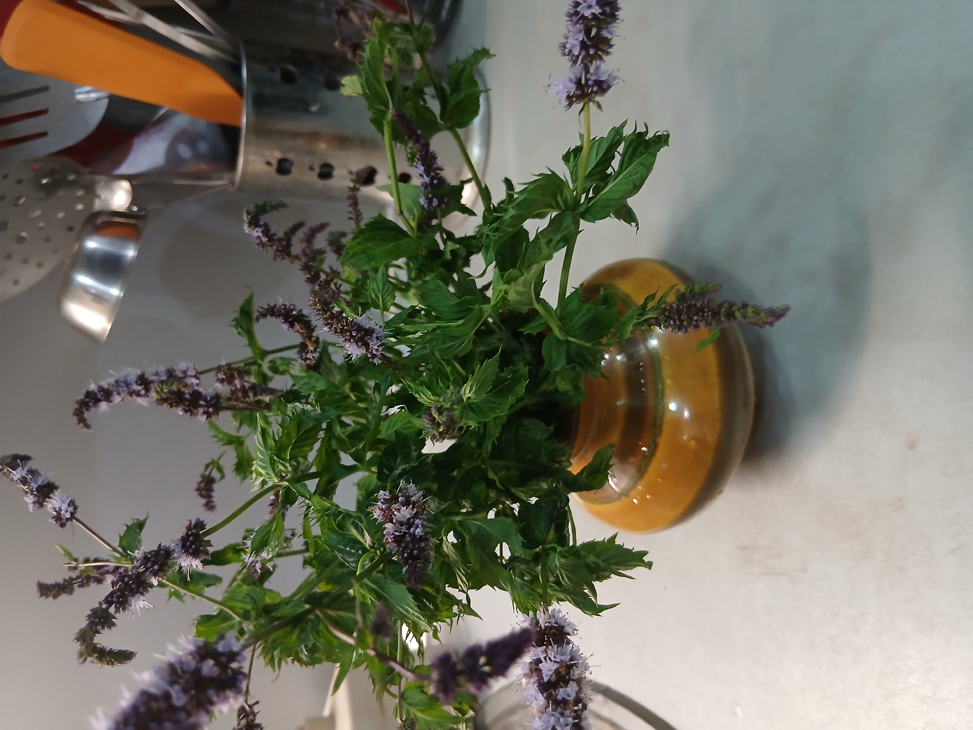 A still life composition features a bouquet of mint sprigs with purple flowers in a small, glazed ceramic vase. The vase is a warm amber color with a darker, earthy-toned rim and base, and appears to have water droplets on its surface. The mint leaves are a vibrant green, and the flower clusters are a delicate purple. In the background, out of focus, is a kitchen counter with various utensils in a metal holder, including a slotted spoon and a bright orange spatula. The overall impression is one of a simple, fresh arrangement on a kitchen surface.