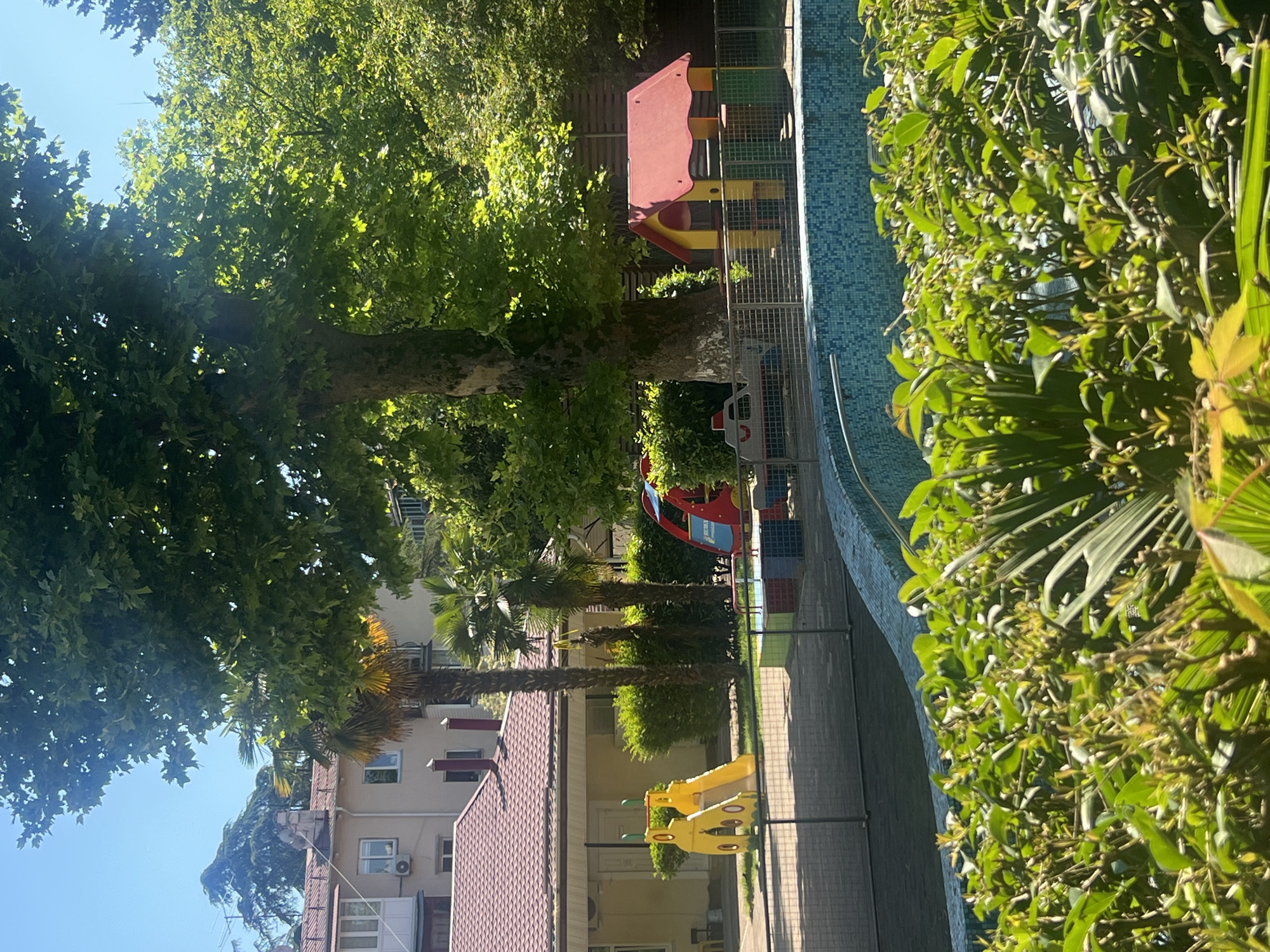 This image captures an outdoor scene, likely a recreational or residential area, characterized by abundant greenery, a swimming pool, and buildings under bright sunlight.
The dominant features are large, leafy green trees that occupy the upper and upper-left portions of the frame. Their dense canopies cast dappled shadows, with patches of clear blue sky visible through the leaves. Below the large trees, several slender palm trees add to the tropical feel of the environment. Lush green hedges and bushes line the edge of a curved, blue-tiled swimming pool that runs along the right side of the image. A metal mesh fence separates the pool area from the rest of the scene.
Behind the fence, in the mid-ground, is a children's playground featuring colorful equipment. A red and yellow play structure with a slide is visible towards the upper right, and a smaller, yellow slide is situated in the lower-middle section. A small red and white toy car is also present near one of the play structures.
On the left side of the image and in the background, several multi-story buildings with reddish-brown tiled roofs are visible. These buildings appear to be residential or part of a hotel complex, with windows and an outdoor air conditioning unit discernible on one facade.
The scene is devoid of people, suggesting a quiet moment. The bright sunlight and distinct shadows indicate it is daytime, likely morning or afternoon, with clear and pleasant weather. The combination of palm trees, lush vegetation, a swimming pool, and the architectural style is highly consistent with a resort town in a warm climate, aligning with the provided location context of Sochi, Russia. No visible text is identifiable in the image. The overall impression is one of a peaceful and inviting outdoor setting.