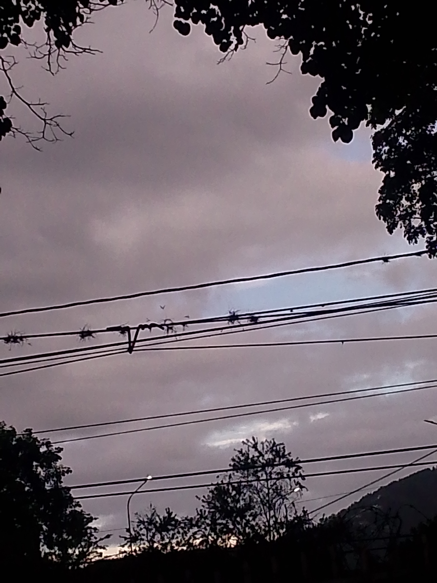The image captures a cloudy, overcast sky above Caracas, Venezuela. Power lines stretch horizontally across the frame, interspersed with silhouetted tree branches and foliage in the foreground and upper edges. A street light is visible among the trees. A mountain is present in the background. There are no people visible.