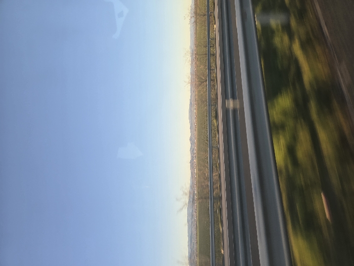 The image captures a highway scene within the administrative area of Diadovo, Bulgaria, as viewed from a moving vehicle. The foreground features two parallel, grey metal guardrails, horizontally traversing the lower half of the frame, exhibiting motion blur. Below the lower guardrail, blurred green and brown vegetation streaks across the immediate foreground. Beyond the guardrails, a two-lane paved road with visible lane markings shows slight motion blur, indicating vehicular movement. Adjacent to the road, a wide, flat field of green crops extends towards the horizon, dotted with several deciduous trees displaying bare branches. In the distant background, a low-lying horizon reveals a cluster of structures, likely buildings, situated at the base of faint hills or mountains. The sky is clear, displaying a gradient from a lighter blue near the horizon to a deeper blue at the top. The scene is illuminated by natural daylight, casting a soft, possibly late afternoon or early morning light. No individuals are depicted within the frame. Faint, irregular reflections are visible on the upper portion of the image, consistent with a photograph taken through a window.