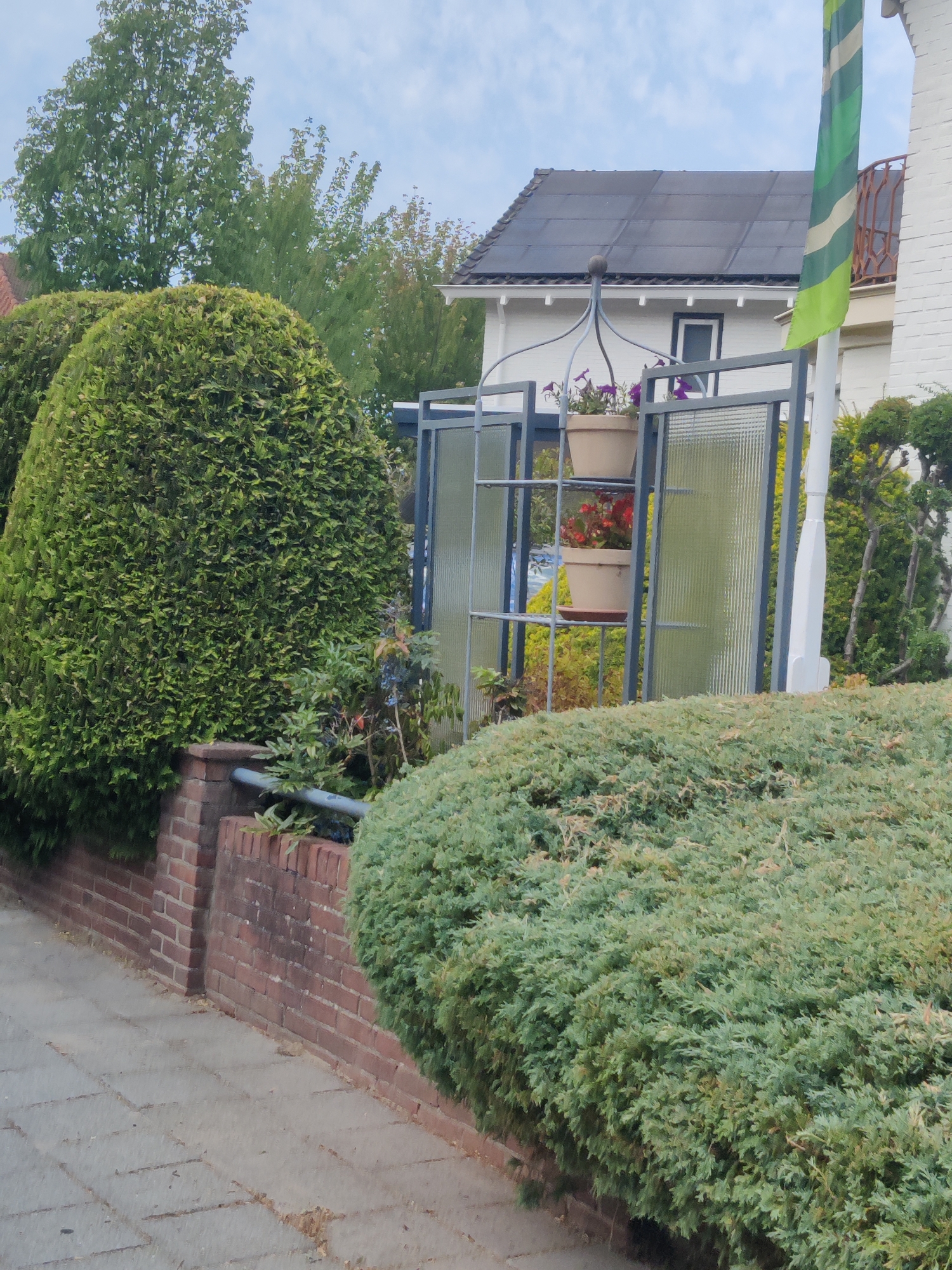The image depicts a residential garden scene in Winterswijk, Netherlands. A paved walkway runs along the foreground, bordered by a low brick wall. To the left, a large, conical evergreen bush is prominently featured, obscuring a portion of the brick wall. In the middle ground, a metal shelving unit with glass panels holds two potted plants: one with purple flowers and another with red flowers. Behind the shelving unit, a white building with a dark-tiled roof and solar panels is visible. A flag with green and white stripes is mounted on a pole to the right of the building. Several other evergreen shrubs and trees are present throughout the scene, contributing to the lush, green environment. The sky is overcast with some clouds. No people are visible in the image.