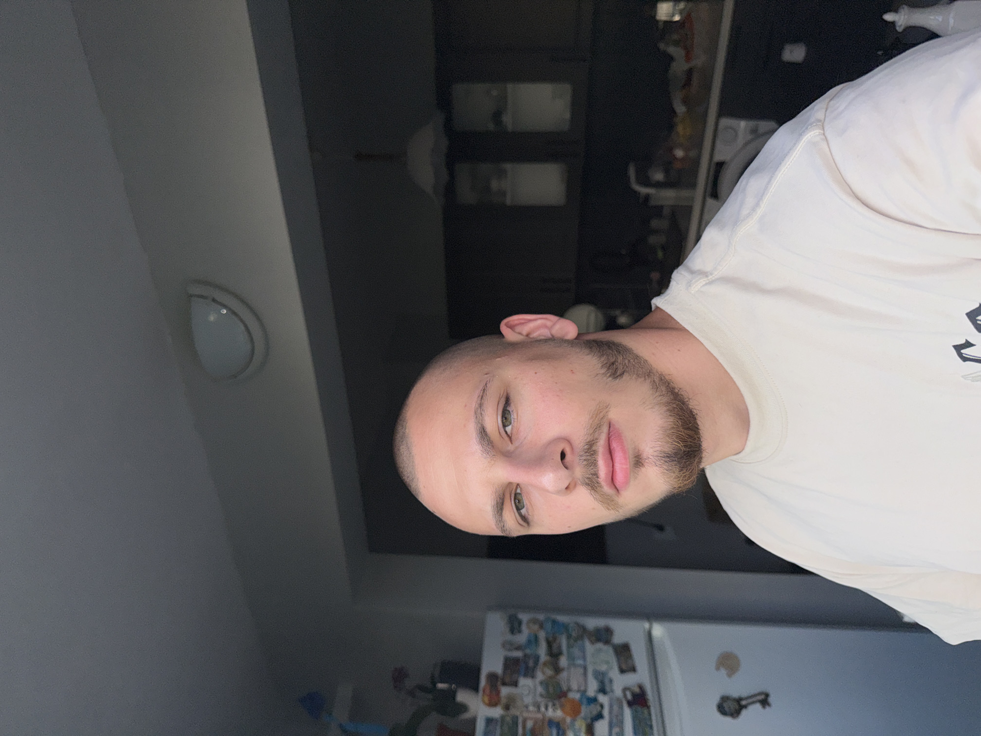 The image shows a close-up selfie of a young man with a shaved head and a beard, wearing a light-colored t-shirt. He is standing in what appears to be a kitchen. In the background, a refrigerator with various magnets and notes is visible on the left, and kitchen cabinets and countertops are visible on the right. A light fixture is present on the ceiling. The man's gaze is directed towards the camera. The lighting suggests it is daytime, with natural light coming from the left. The scene is not specifically identifiable as being in Stara Zagora, Bulgaria, as there are no recognizable landmarks or cultural markers.