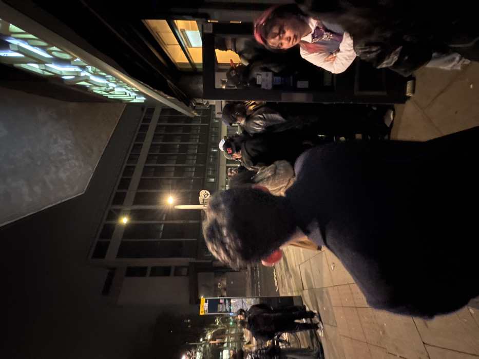 A crowd of people stand in a line at night. Most are obscured, but one wears a white shirt with a vest and has dyed pink hair. The queue is under a shelter with decorative lighting, next to a multi-story building illuminated by streetlights. The foreground shows a dark figure with short, dark hair, standing with their back to the viewer. The image is taken from a low angle.