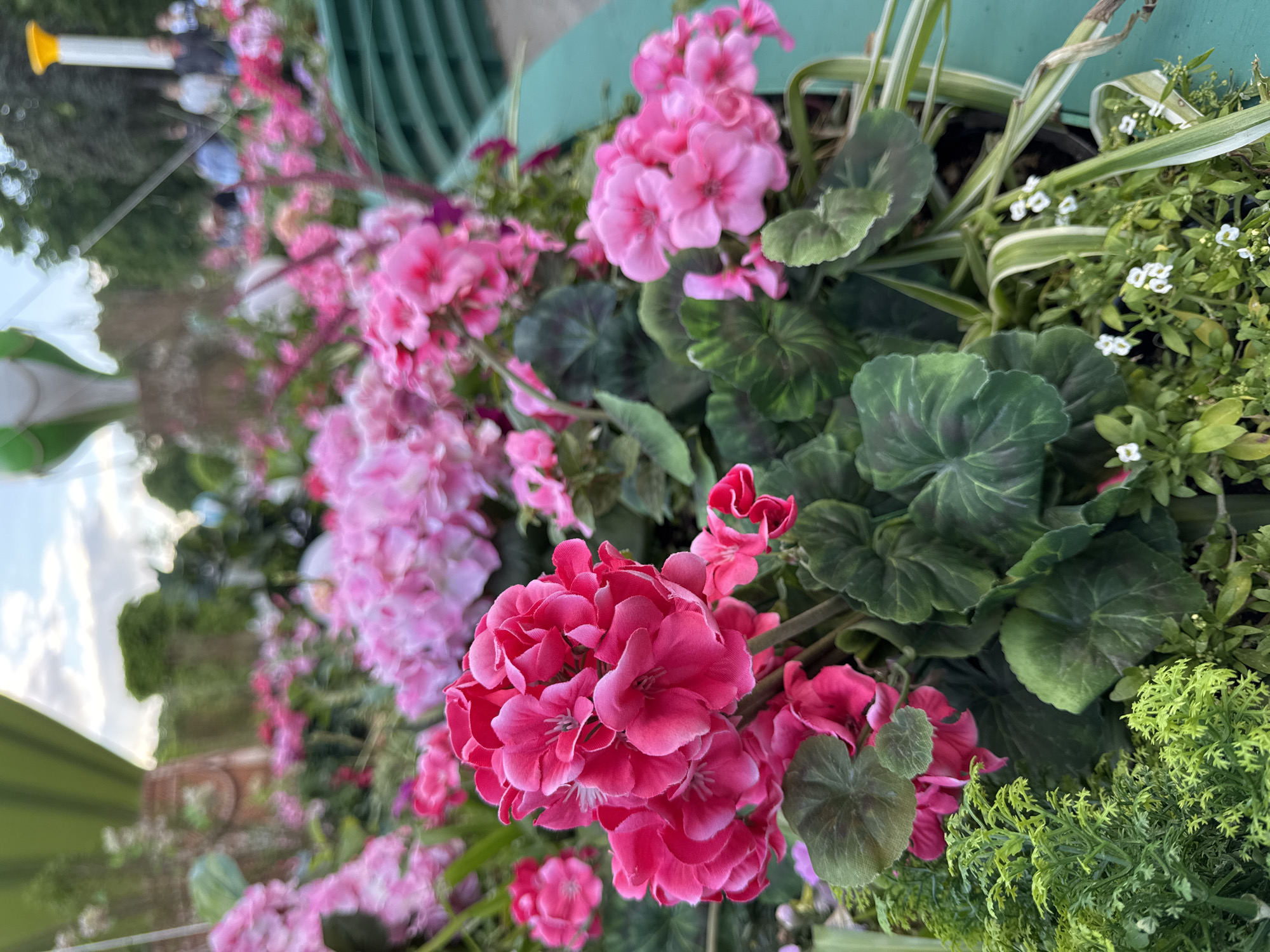 The image shows a close-up view of a flower arrangement, likely in a public space within the city of Moscow, Russia. The flowers are predominantly pink geraniums, clustered together with green foliage. Other plants, including white alyssum and variegated ribbon grass, are mixed in. The arrangement appears to be in a raised container, possibly a planter box. In the background, blurry figures of people and an architectural element (likely a park feature or building) are visible, suggesting an outdoor setting. The lighting is soft, indicating an overcast day or shaded location.