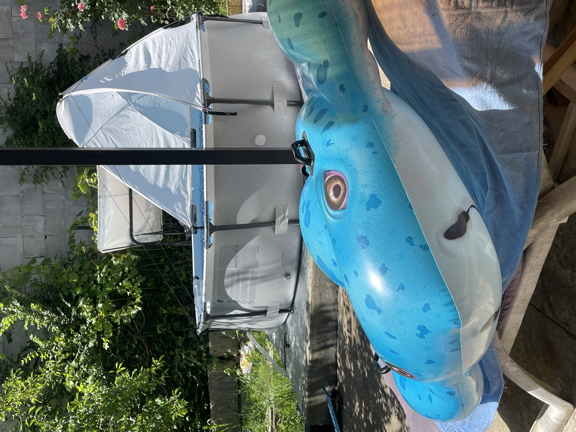 In Baranovka, Russia, an above-ground swimming pool with a white canopy stands on a concrete base in a backyard. The pool is empty and appears to be made of gray material with blue trim. In the foreground, a large, inflatable blue narwhal lies on a lounge chair covered with towels. The narwhal is mostly blue with lighter blue spots and a white underside. Its eye is visible, with a pink iris and dark pupil. Lush green bushes and trees surround the pool, and a brick wall is visible in the background. Pink roses bloom on a bush to the right of the pool. The ground is a mix of concrete and grass.