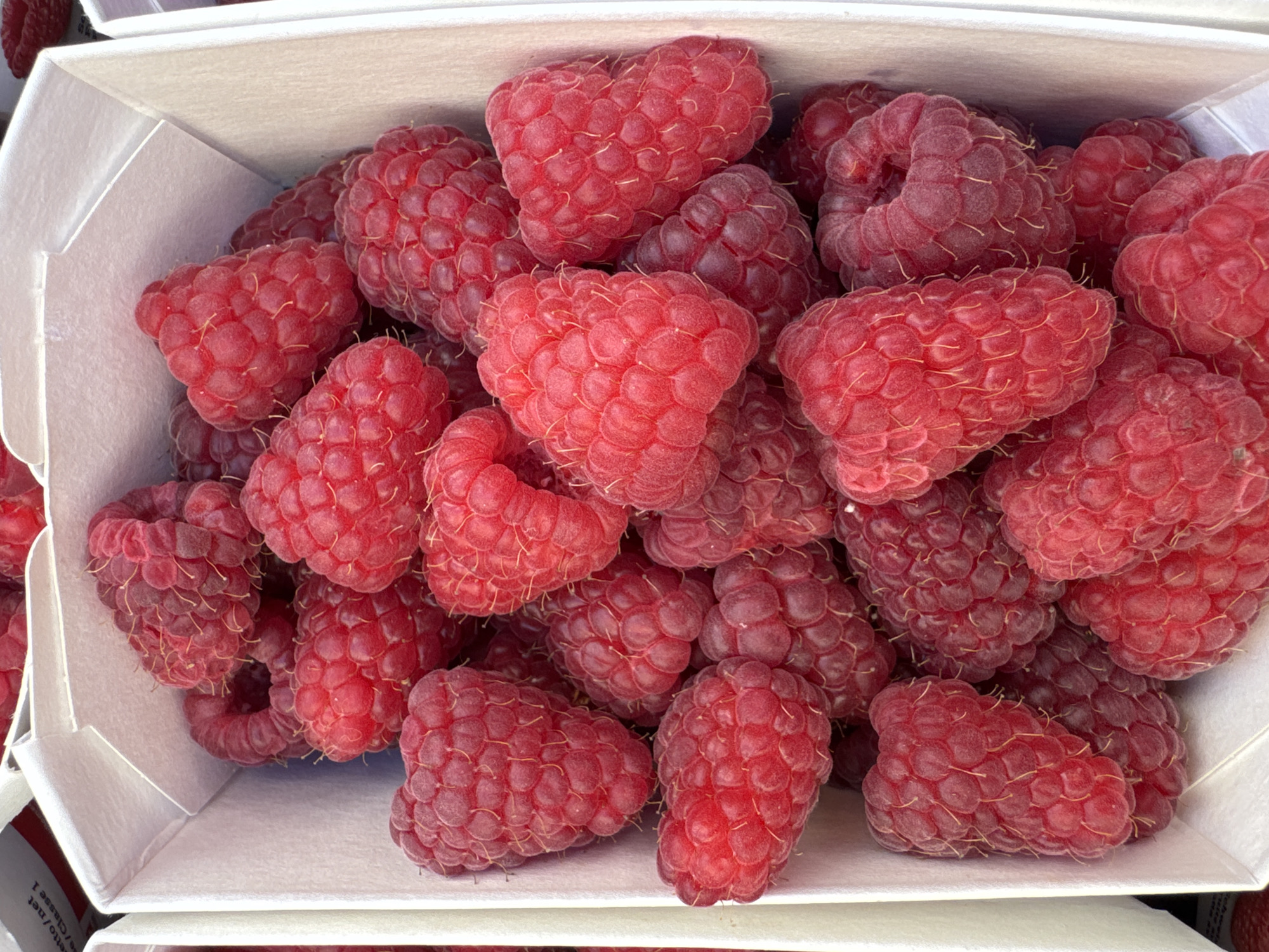 This is a close-up, overhead shot of a white cardboard container filled with ripe, red raspberries. The raspberries are clustered together, with some overlapping and others showing individual drupelets. The container is partially visible, with its white walls and folded edges. A small portion of a label with text in a foreign language is visible in the upper left corner. The lighting is bright, casting subtle shadows and highlighting the texture of the berries. The scene appears to be a retail setting, possibly a market stall in Lucerne, Switzerland, given the context provided. There are no people or animals visible in the image.