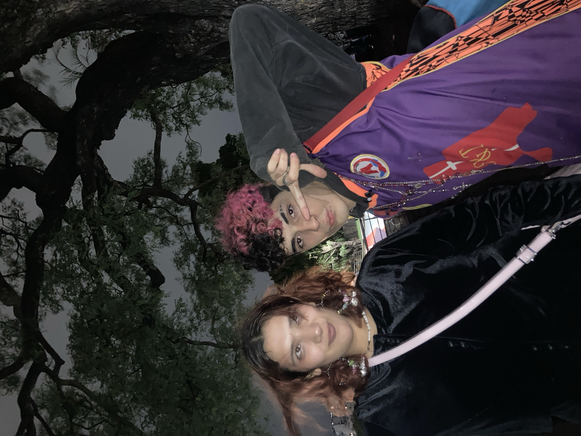 Two individuals are visible in the image, likely a selfie taken at night. The setting seems to be outdoors, possibly a park, given the presence of a large tree with visible branches and leaves in the background.
The individual at the top has pink curly hair and is wearing a dark hooded top. A purple and orange garment is also visible, adorned with designs. They are holding up two fingers in a gesture.
The individual at the bottom has brown wavy hair and is wearing a black velvet top. They have dangling earrings and are wearing a necklace. A light pink bag strap is visible across their body.
The background consists mainly of the dark tree and an overcast sky.