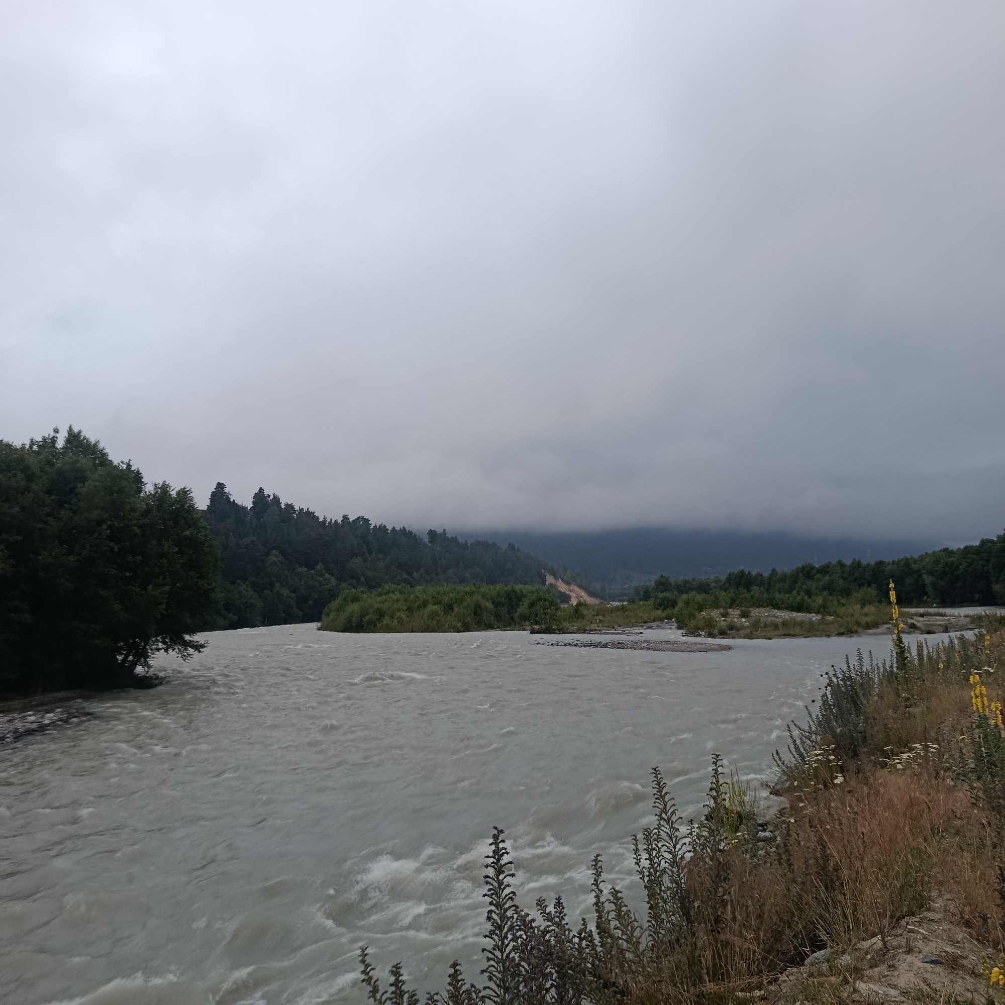 This is a landscape photograph of a wide, fast-flowing river under a cloudy sky. The river is a pale, milky grey, with visible currents and whitecaps indicating a strong flow. The banks of the river are lined with dense green trees, including both deciduous and coniferous varieties. In the distance, a line of dark green, forested hills or mountains is visible, shrouded in low-lying clouds or fog, which obscure the highest peaks.
On the right bank of the river, there is a patch of dry, tall grass and some yellow wildflowers. The overall mood of the image is somber and somewhat dramatic due to the overcast weather and the turbulent water. The time of day appears to be overcast daylight. There is no visible text in the image. The scene suggests a natural, somewhat wild environment, possibly a remote or mountainous region. The presence of lush vegetation along the riverbanks and the imposing, mist-covered hills in the background contribute to a sense of nature's power and grandeur.