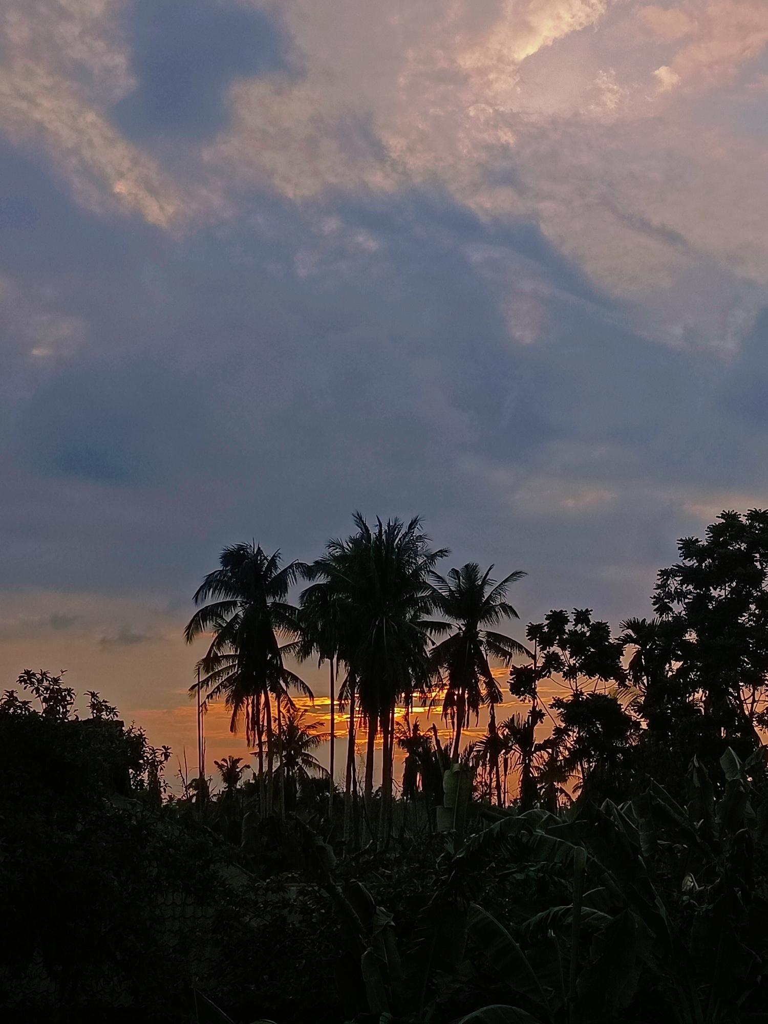 The image shows a silhouette of palm trees and other foliage against a twilight sky. The sun is setting, casting an orange glow through the trees. The sky is filled with dramatic clouds, some illuminated by the setting sun, others dark and brooding. The overall impression is one of a serene and somewhat dramatic tropical landscape. The location is specified as Blang Cut, Indonesia.