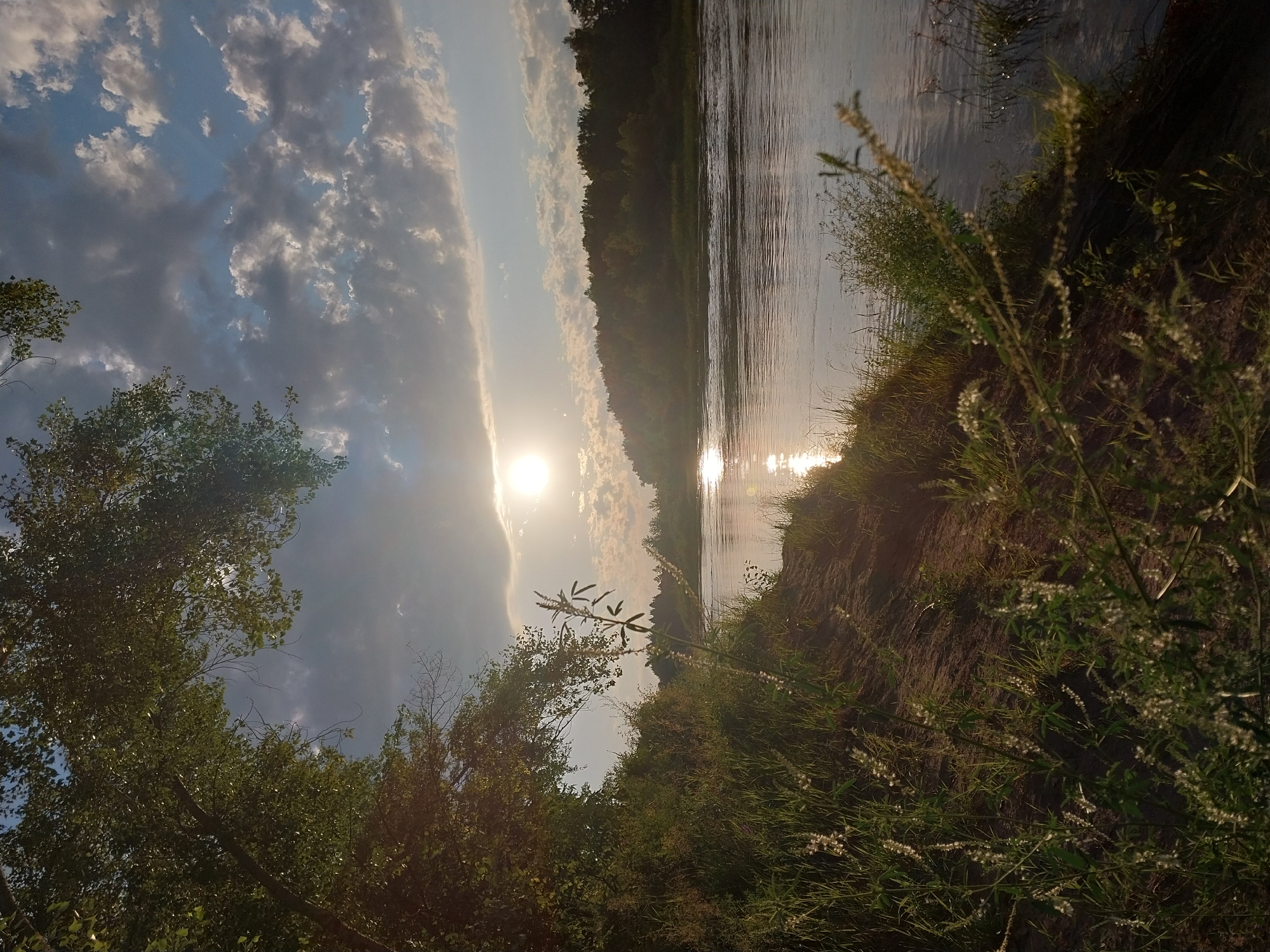 The image depicts a serene natural landscape along a riverbank, bathed in the warm glow of the setting sun. The sun, a bright orb, is positioned in the upper left quadrant of the frame, casting a shimmering reflection on the water's surface. The river itself flows gently, its waters reflecting the sky and the surrounding foliage.
On the left bank, lush green vegetation and trees dominate the foreground, with their branches arching towards the sky, some partially obscuring the view. The ground is covered with grass and other low-lying plants. In the background, a dense forest of trees lines the opposite bank of the river, creating a natural, unspoiled vista. The sky is a canvas of blue, dotted with scattered white and grey clouds, adding depth and texture to the scene. The overall atmosphere is one of tranquility and natural beauty. It is not possible to determine the specific location in the city of Chkalov, Russia, from the image.
