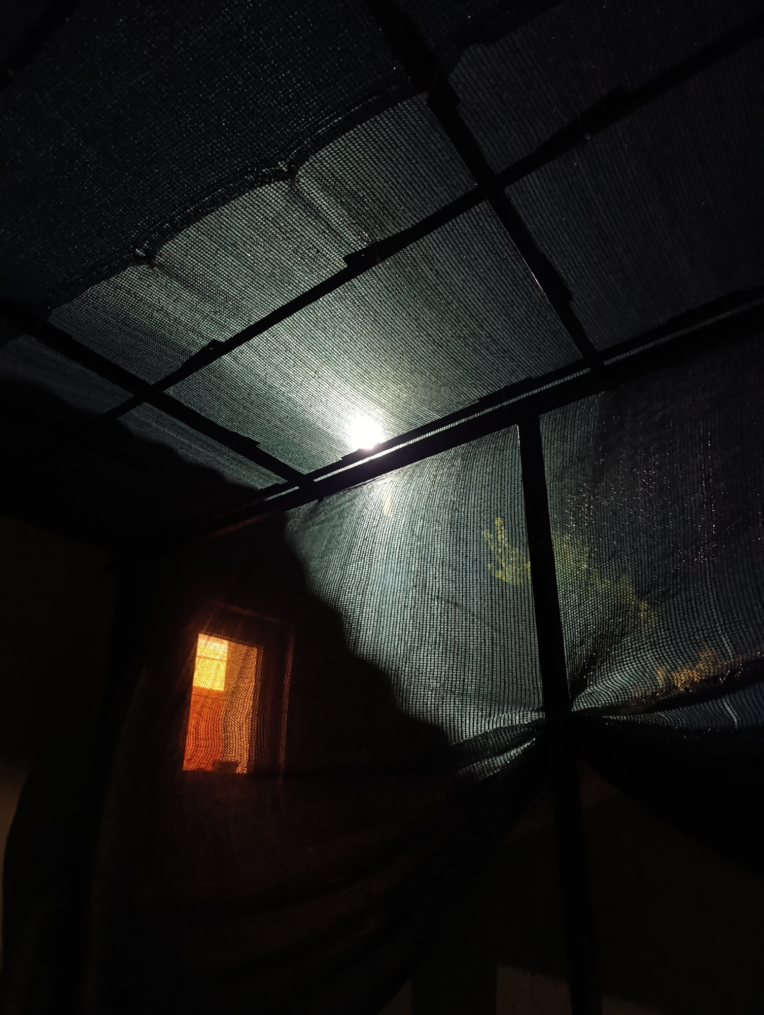 The image depicts the interior of a dimly lit structure, possibly a greenhouse or a covered outdoor area, with a dark, mesh-like material forming the roof and walls. The roof is supported by a dark framework. A bright light source, likely the sun, shines through the mesh from the upper right, creating a strong glare and casting elongated shadows. To the left, a small, rectangular window emits a warm, orange glow from within. The overall impression is one of diffused light and shadow, with the textures of the mesh material being prominent. The scene is devoid of any people or explicit actions. The location is specified as Roghi, Moldova.