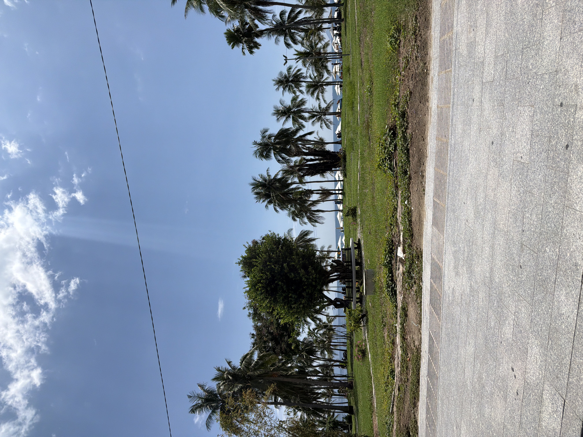 This image captures a vibrant, sunlit tropical landscape, likely a coastal area. In the foreground, on the right side, there is a light grey paved walkway composed of rectangular tiles. A section of this path features tactile guidance strips with raised parallel lines. Immediately to the left of the walkway is a strip of green grass, showing some patches of brown earth and small plants.
Beyond the grassy area, a dense line of trees forms the middle ground. Predominantly, there are numerous tall palm trees with green fronds, characteristic of a tropical climate. Interspersed among them are other lush, green broadleaf trees, including a particularly large, full tree in the central-left portion of this tree line. Through and beyond the trees, a calm, blue body of water, likely the ocean or sea, is visible. In the distance, along the shoreline, several white objects, possibly beach umbrellas or small structures, can be seen.
The left and upper parts of the image are dominated by a bright blue sky with scattered white cumulus clouds. Faint sun rays are visible breaking through some clouds in the upper left corner. A single dark power line or cable stretches diagonally across the sky from the upper left to the lower right, passing above the treetops.
The scene is brightly illuminated by natural sunlight, indicating it is daytime. The overall impression is one of a peaceful and picturesque tropical environment, consistent with a beachfront or coastal park setting in a location such as Nha Trang Ward, Vietnam. There are no visible people or discernible text in the image.