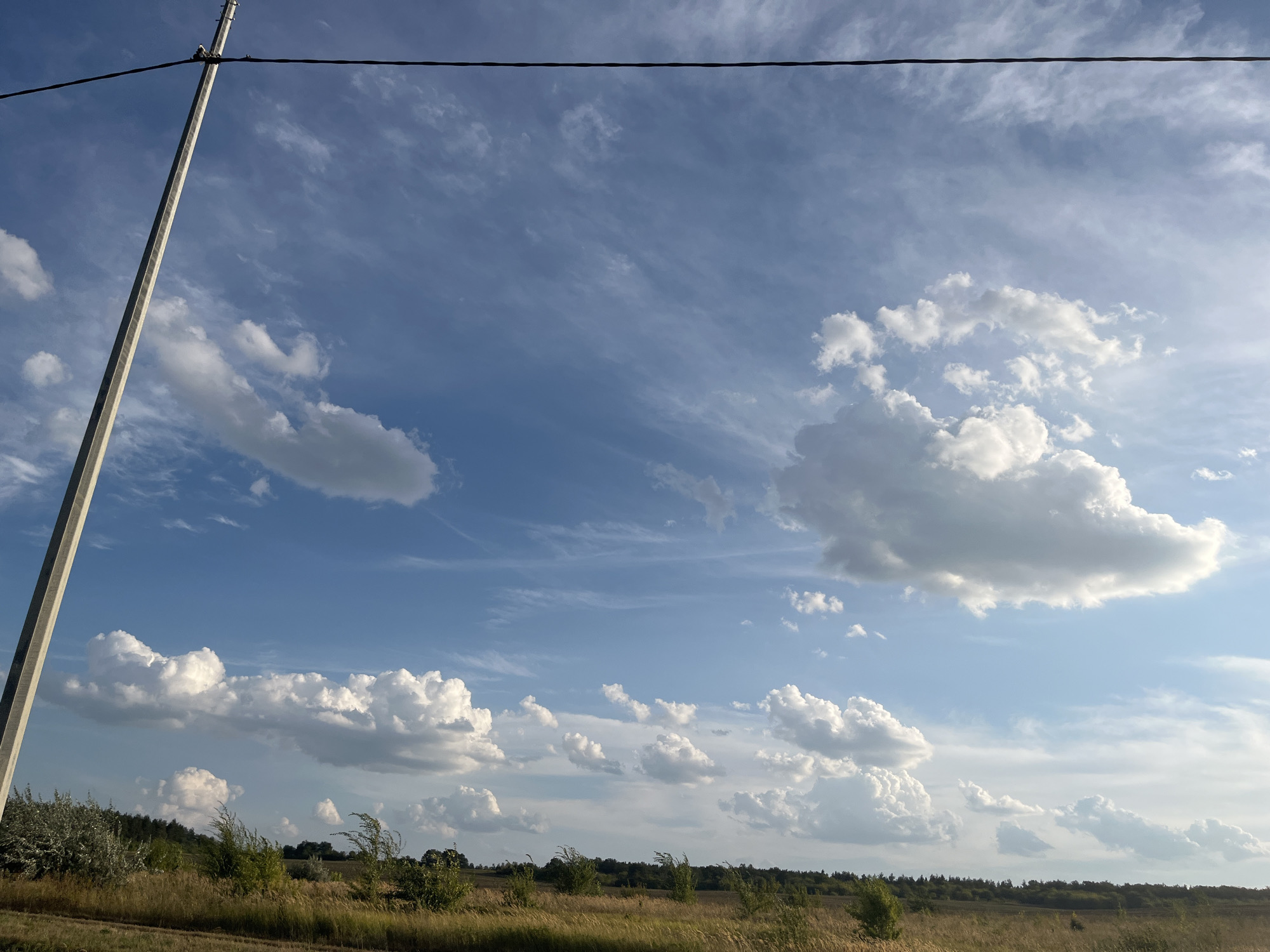 The image depicts a vast, partly cloudy sky over a rural landscape. In the foreground, a tall, weathered utility pole stands diagonally on the left side, with a thick black cable running horizontally across the top of the frame. The sky is a vibrant blue, punctuated by various types of clouds. Wispy, high-altitude clouds stretch across the upper portion of the frame, while lower down, larger, more voluminous cumulus clouds are scattered. The horizon is lined with a strip of dry, golden grass and scattered green bushes and trees, suggesting a field or meadow. A dark line of trees forms a distant treeline against the sky. The scene is captured during daylight, with the sunlight illuminating the clouds and landscape. No people or specific landmarks identifiable to Saratov, Russia, are visible in the image.