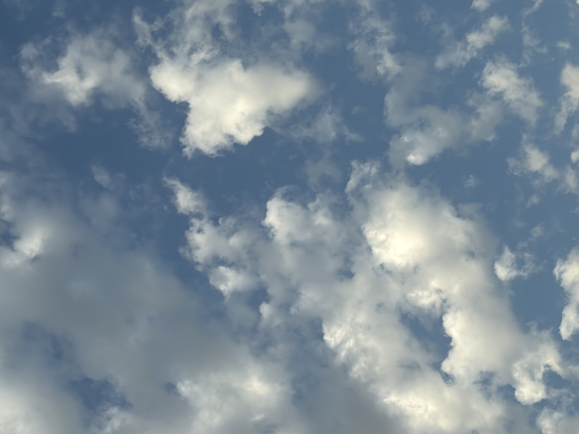 The image shows a view of the sky with scattered white clouds against a blue background. The scene lacks any specific landmarks or features to place it within the city of Plovdiv, Bulgaria or any other location. No people, subjects, objects, actions, or interactions are visible. The environment consists solely of the sky and clouds.