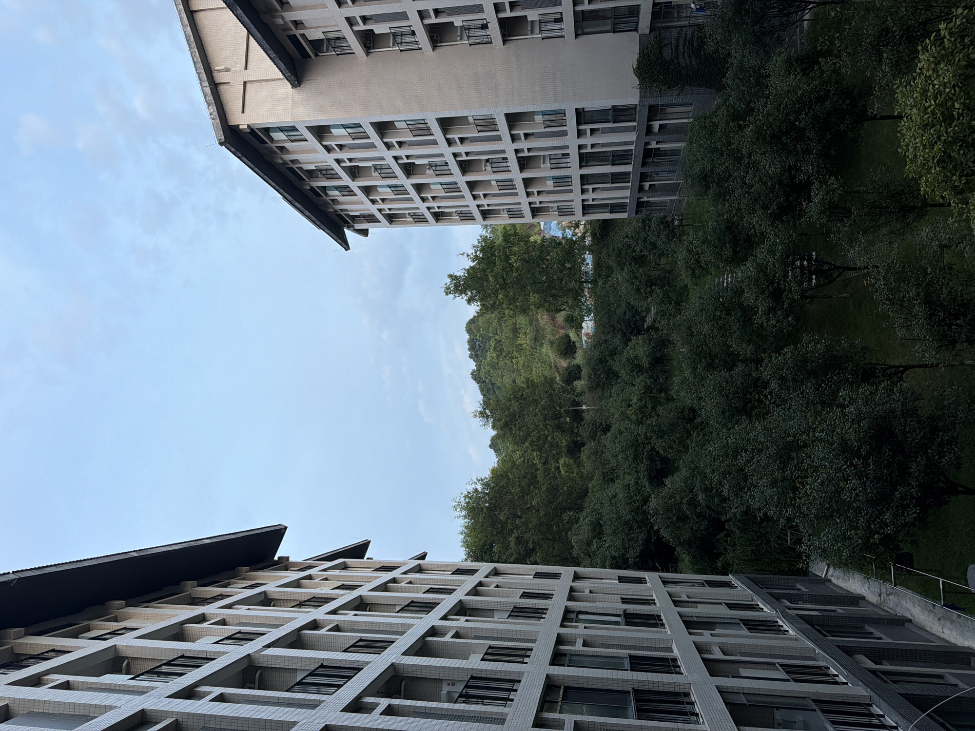The image captures a view between two multi-story buildings, likely apartment complexes or dormitories, with a dense canopy of trees and a tree-covered hillside in the background. The buildings are modern in design, featuring light-colored facades with a grid of windows and balconies, each with black railings. The sky above is overcast with hints of blue. The foreground shows the sides of these buildings, and the middle ground is dominated by the lush green foliage of trees, some of which appear to be fruit-bearing. The background features a sloping hill covered in more trees, with a slightly lighter sky visible above the treeline. The overall impression is one of a residential area integrated with nature, possibly within the city of Jiangjin, China, where such urban planning is common to incorporate green spaces. There are no people visible in the image.