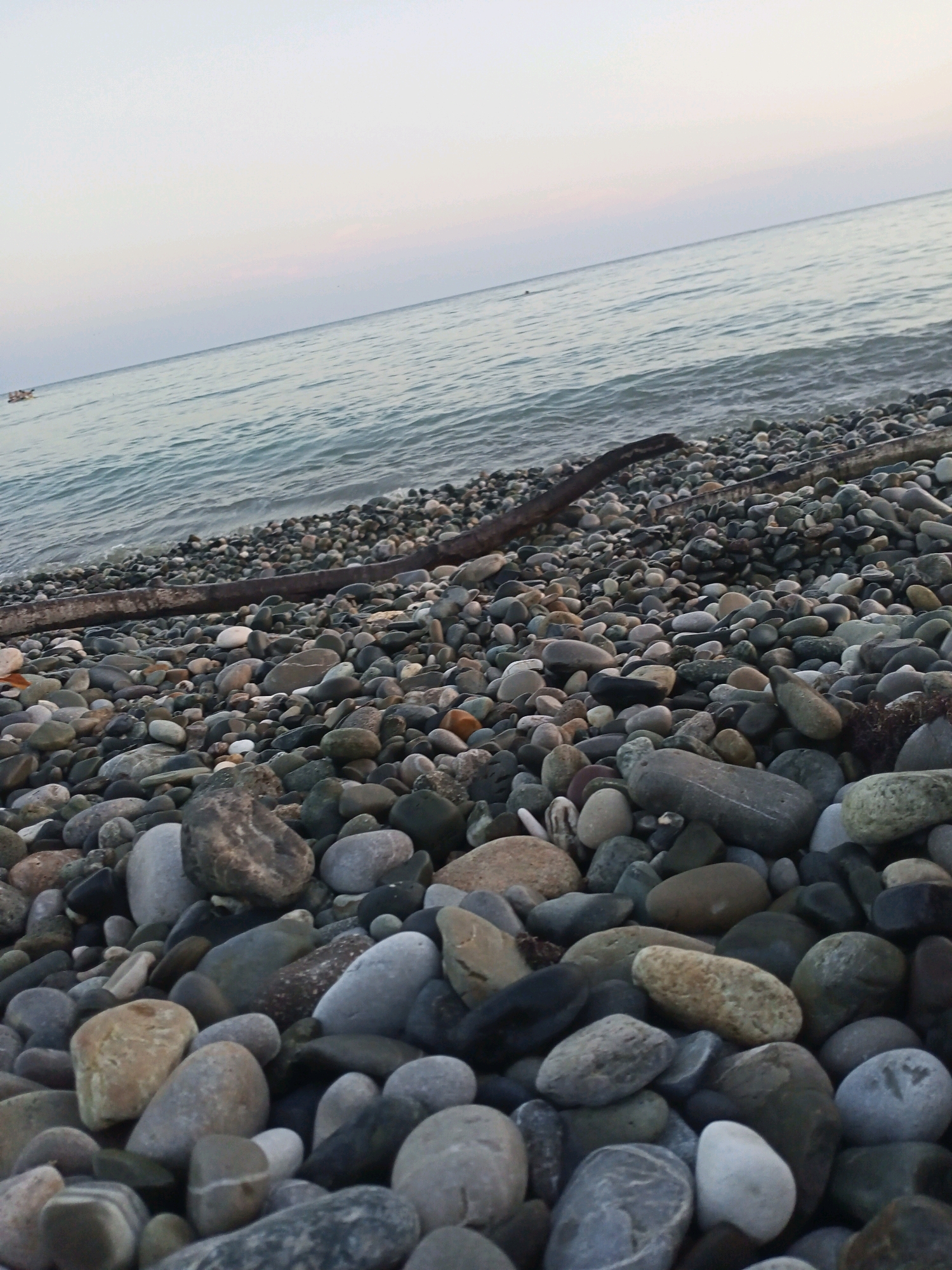 The image depicts a natural scene on a pebble beach in Tsandrypsh, Abkhazia. The foreground is dominated by a dense collection of smooth, rounded pebbles of various sizes and colors, ranging from grey and brown to white and speckled patterns. Among the pebbles, a dark, weathered piece of driftwood lies horizontally across the mid-ground. The sea is visible in the background, with gentle waves lapping at the shore. The water is a muted blue-green, reflecting the soft light of what appears to be late afternoon or early morning. The sky above is a pale, gradient of light blue and pink, suggesting dusk or dawn. In the distance, a small, indistinct object, possibly a boat or a floating structure, is visible on the water. There are no visible people in the immediate foreground or mid-ground, though a faint, dark speck that could be a person is present in the water on the left side of the image. The overall impression is one of a quiet, serene coastal environment.