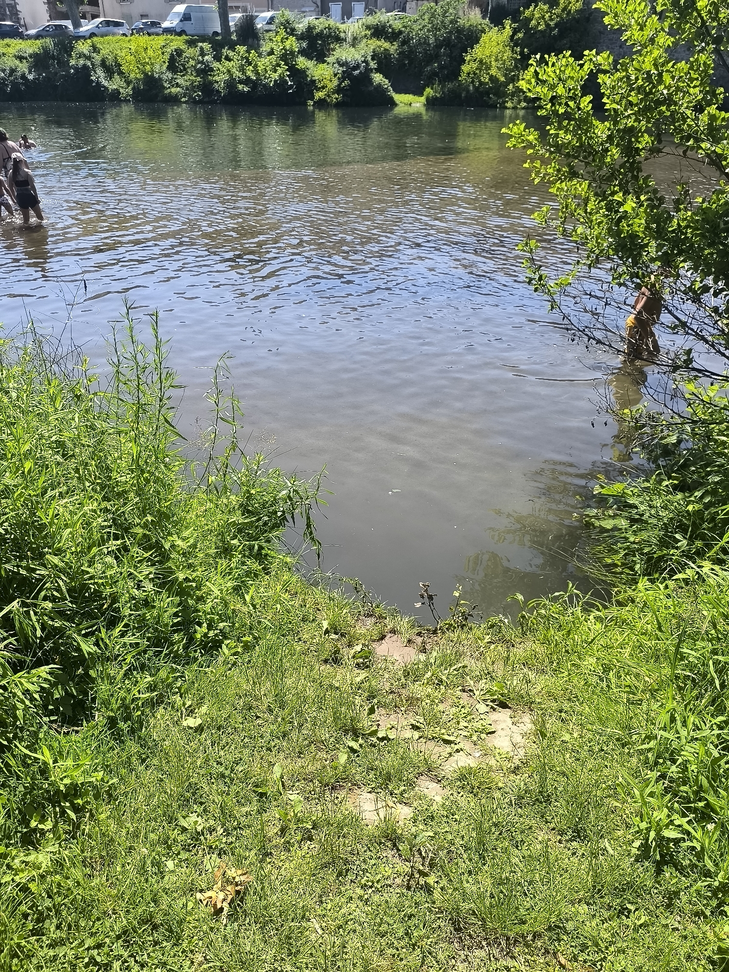 The image depicts a river scene in Chézenas, France. In the foreground, grassy riverbanks lead to the water's edge. Several people are wading in the river; a group is visible to the left, while a single person stands near some foliage on the right. Trees and bushes line the far bank, with vehicles parked in the background, suggesting proximity to a residential area. The water appears shallow enough to wade in.