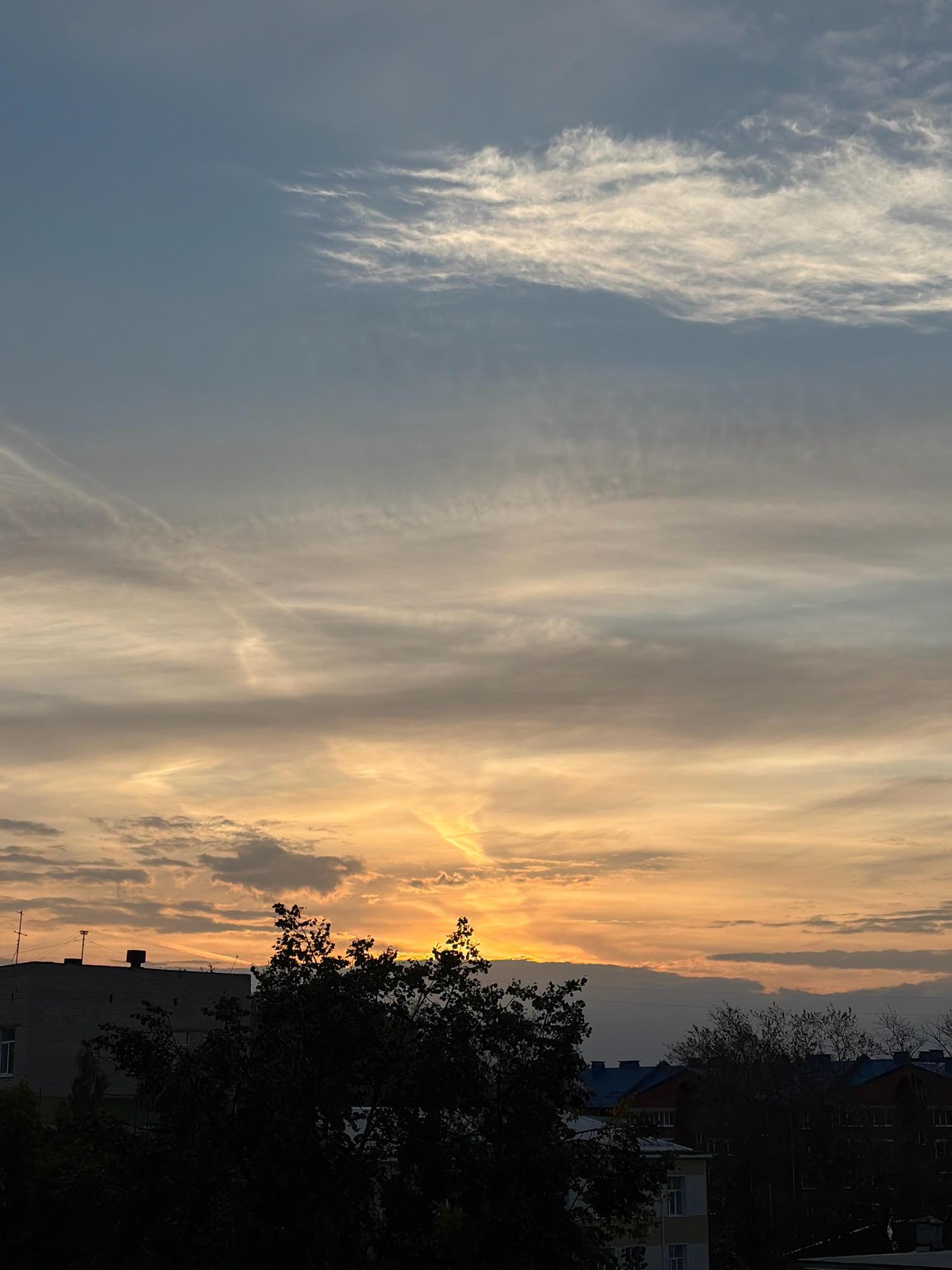 The image captures a sunset over an urban landscape in Chaikovsky, Russia. The sky is filled with a gradient of colors, transitioning from a pale blue at the top to warm oranges and yellows near the horizon, indicative of the setting sun. Wispy clouds streak across the sky, some catching the golden light. Silhouetted against the vibrant sky are the dark forms of trees in the foreground. Behind the trees, the rooftops and upper sections of buildings are visible, including a grey, multi-story building with antennas on its roof. Further in the background, the darker outlines of more buildings with blue and brown roofs suggest a residential area. The overall scene is one of a quiet evening in the city.