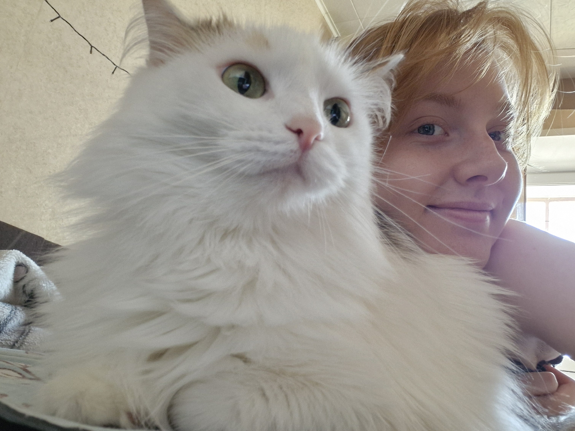 A woman with light skin and short, light-brown hair smiles slightly while posing close to a large, white cat with green eyes. The cat is in the foreground, positioned centrally, and its head is tilted slightly upwards. The woman is to the right of the cat, with her face partially visible. The setting appears to be indoors, possibly a home, with a wall and some indistinct objects in the background. A string of lights can be seen at the top left of the image. The image location in Yekaterinburg, Russia is unable to be determined.