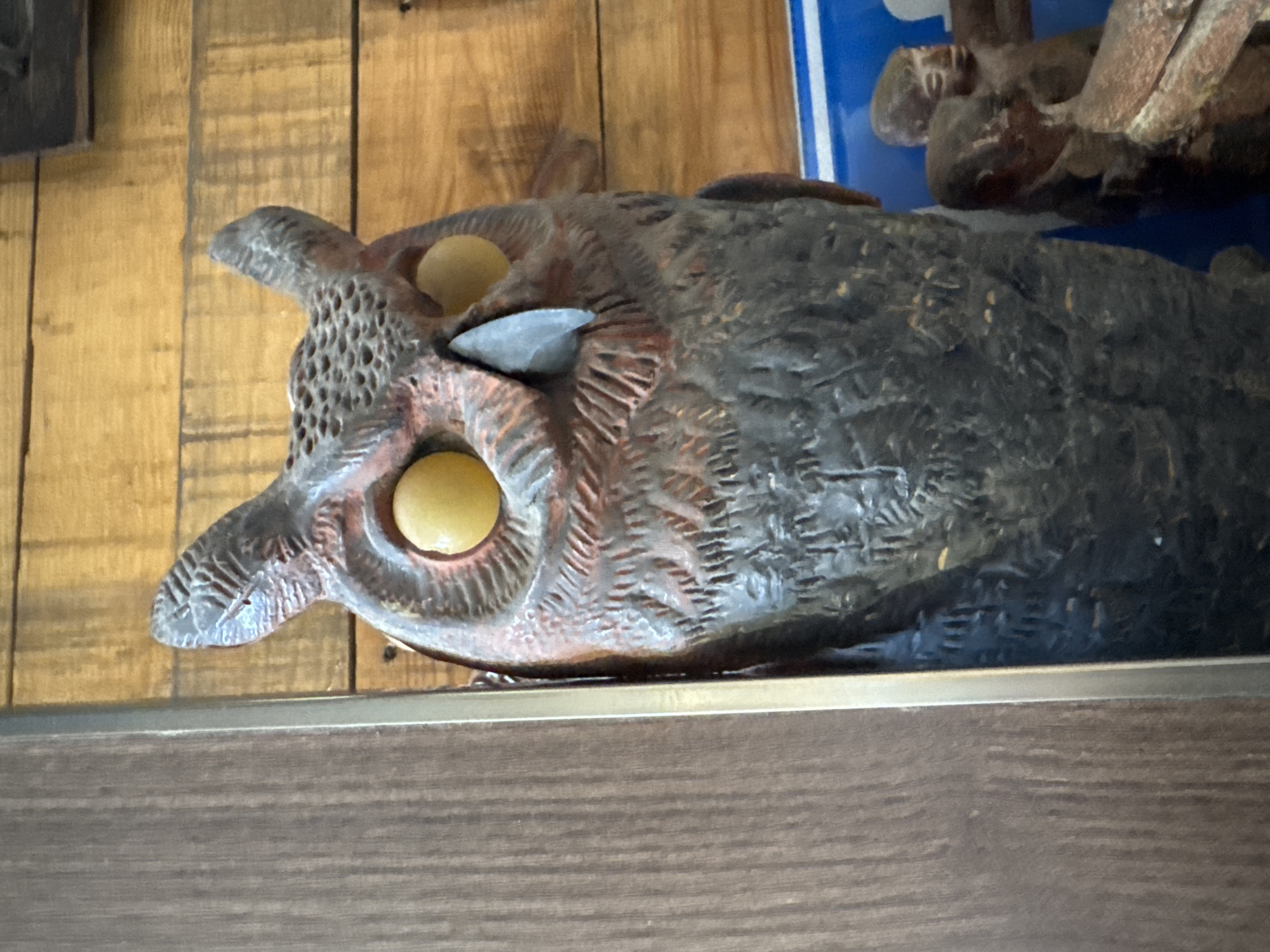 This close-up image features a carved wooden owl figure resting horizontally on a dark wooden shelf or ledge. The owl, facing left, is the central subject, displaying intricate details in its craftsmanship. It has two prominent, spherical light yellow eyes that stand out against its darker wooden form. The owl's head is carved with textured, reddish-brown details, suggesting feathers, and features ear tufts and a distinct beak-like protrusion. A small, grey, triangular piece is integrated into the carving between its eyes, possibly representing part of the beak or forehead. The body of the owl is a darker, almost black, color with carved textures that mimic feathers.
The background consists of a rustic wooden plank wall. In the upper right corner, a segment of a blue object, possibly a sign, is visible, along with a blurred, small wooden carving that appears to be a human figure. The image is a still life, showcasing a decorative art piece, possibly folk art or a souvenir. The lighting emphasizes the texture and depth of the carving. No text is visible in the frame. This scene is located in Yerevan, Armenia.