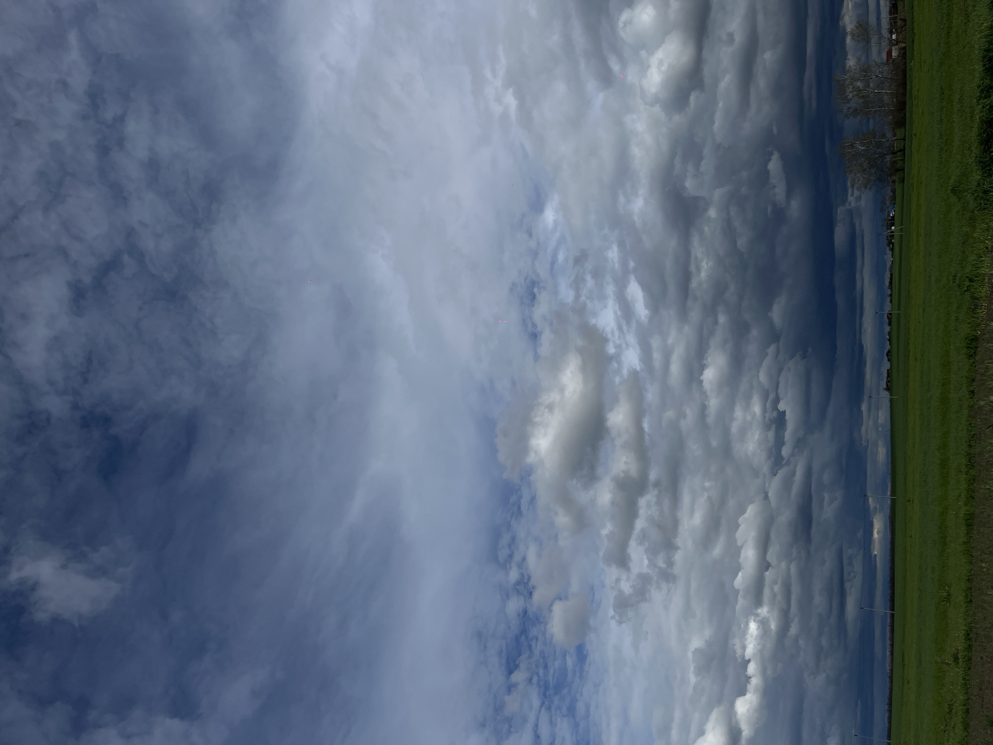 The image shows a sky with a mix of light blue and darker, stormy-looking clouds. A field of green grass and a few trees are visible along the right edge of the frame. Power poles are seen in the middle of the field in the distance. The location is presumed to be in or near Novopokrovskaya, Russia.