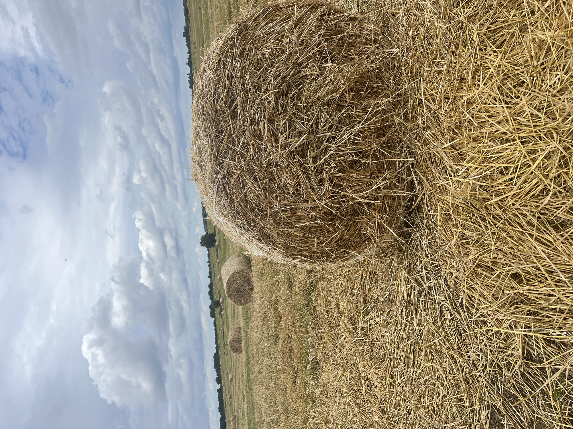 In Dyatlitsy, Russia, a field of harvested wheat lies under a cloudy sky, dotted with numerous round hay bales. A large hay bale dominates the foreground on the right, its dry, straw-like texture filling the right side of the frame. In the mid-ground, several other hay bales are scattered across the golden stubble of the field. A line of trees forms a dark border along the horizon, separating the field from the sky. The sky itself is a dynamic mix of light and dark clouds, with patches of blue visible between them. The overall impression is of a rural, post-harvest landscape.