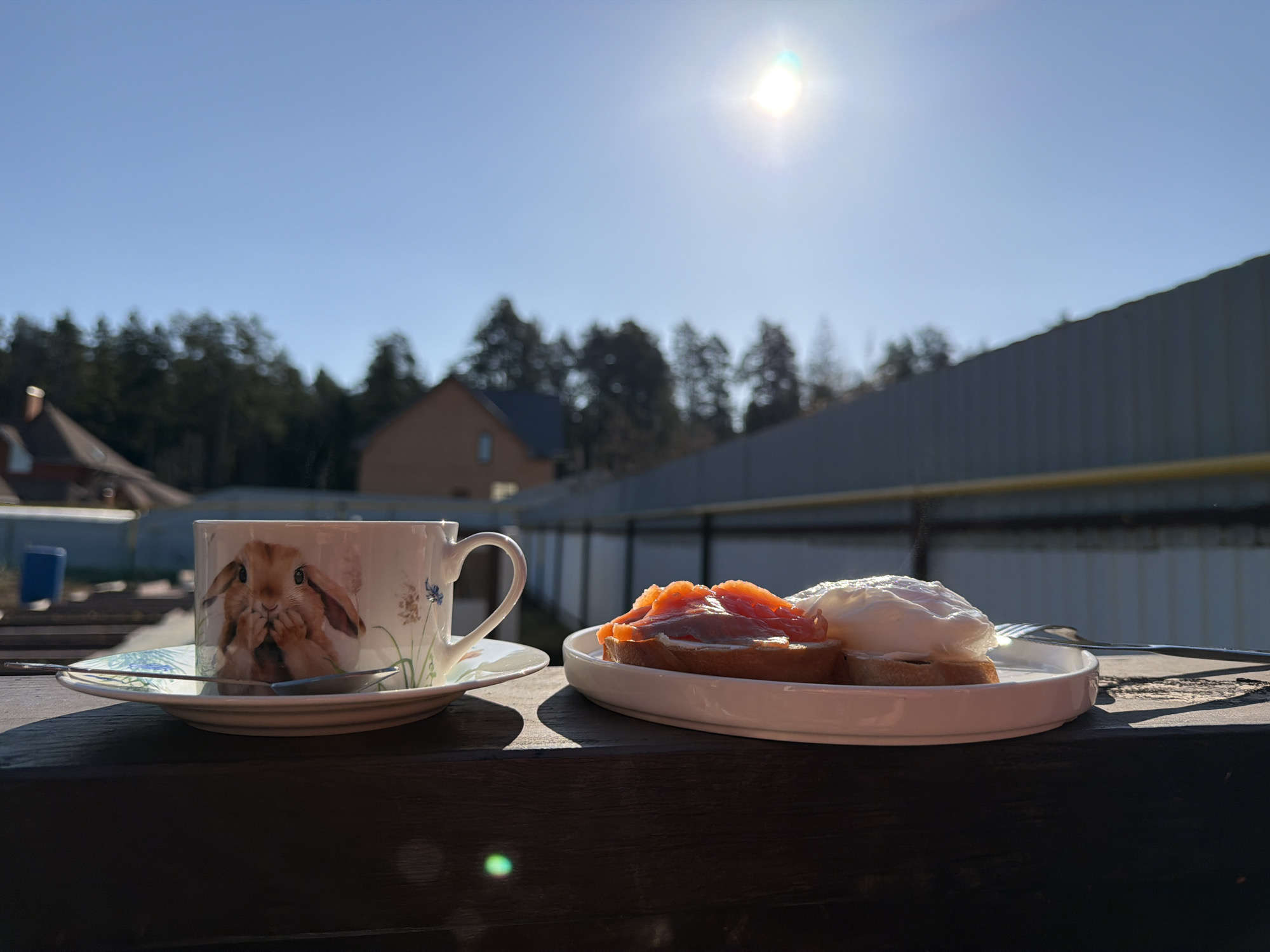 A bright and tranquil outdoor breakfast scene is depicted, likely taking place in Chaikovsky, Russia. In the foreground, a white ceramic teacup featuring a whimsical design of a lop-eared rabbit covering its mouth, alongside delicate blue floral patterns, rests on a matching saucer with a silver spoon. Next to the cup, on a white oval plate, are two pieces of toast. One is topped with vibrant orange salmon slices and a light spread, while the other holds a perfectly formed poached egg. A silver fork lies beside the plate.
These breakfast items are positioned on a dark, textured wooden surface, possibly a table or railing, which shows distinct shadows cast by the intense morning sun. The background is dominated by a clear, brilliant blue sky, with a strong sun flare visible in the upper right, indicating a sunny day. Below the expansive sky, a dense line of dark green trees stretches across the mid-ground, suggesting a forested or natural area. Beyond the trees, parts of houses with reddish-brown roofs are visible. On the right side, a tall, grey corrugated metal fence runs horizontally, with a section of a yellow pipe or beam just below it. The overall mood is peaceful and suggests a leisurely start to the day. No visible text is present in the image.