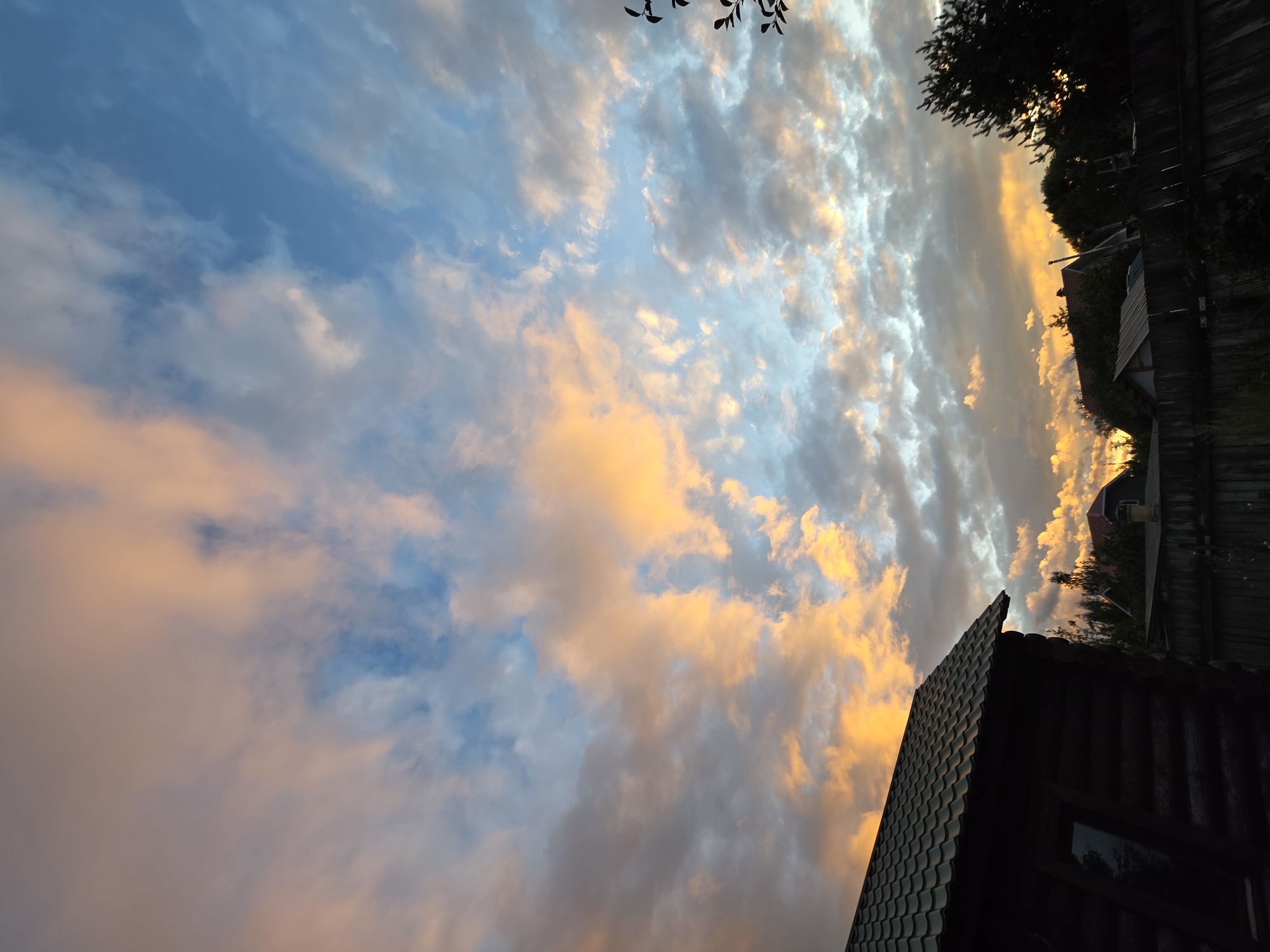 The image depicts a rural landscape in Rechitsy, Russia, during a sunset. The sky is filled with dramatic clouds illuminated by the setting sun, displaying hues of orange, yellow, and blue. In the foreground, the dark roof of a wooden structure with a green, wavy-patterned metal roof is visible on the left. Beyond this structure, a wooden fence runs across the middle ground, separating it from a cluster of houses and trees in the distance. The houses have various roof types, including a red-tiled roof with a chimney and a lighter-colored roof. Dark green trees are scattered throughout the scene, and a silhouetted tree branch with leaves extends into the frame from the right edge. The overall atmosphere is serene and suggestive of twilight in a village.