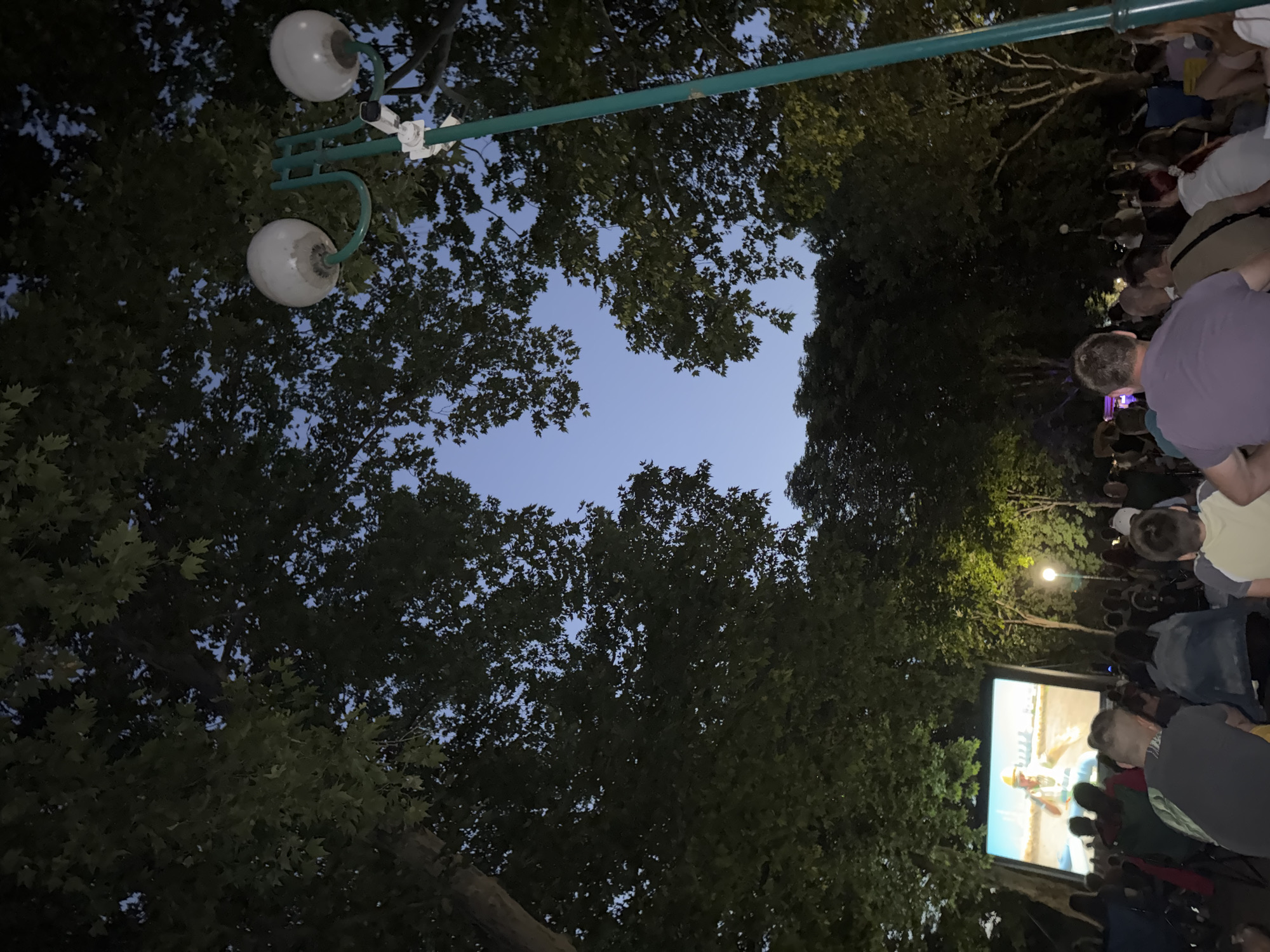 In Plovdiv, Bulgaria, at dusk, a crowd gathers in a park to watch an outdoor movie screening. The screen displays a scene with a person wearing a hard hat. People are seated in chairs and on the ground, facing the screen. Two lampposts with white globe lights are visible, one on the right side of the frame. Large trees with dark green leaves form a canopy overhead, with the twilight sky visible through the branches. Security cameras are mounted on one of the lampposts.