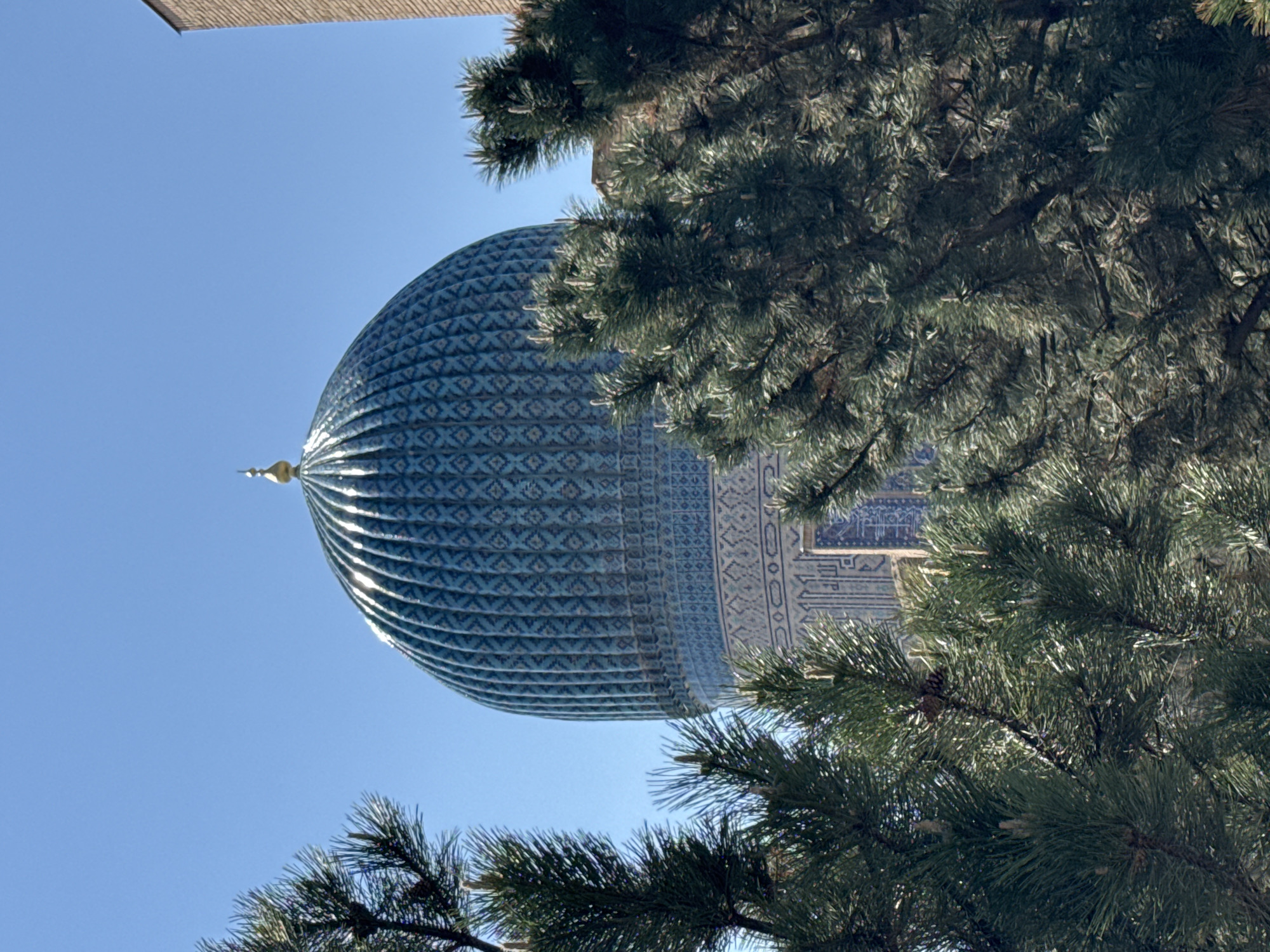 The image shows a large blue dome of a building, possibly a mosque or mausoleum, framed by the branches of a conifer tree. The dome has a patterned surface. The location is Samarkand City, Uzbekistan.