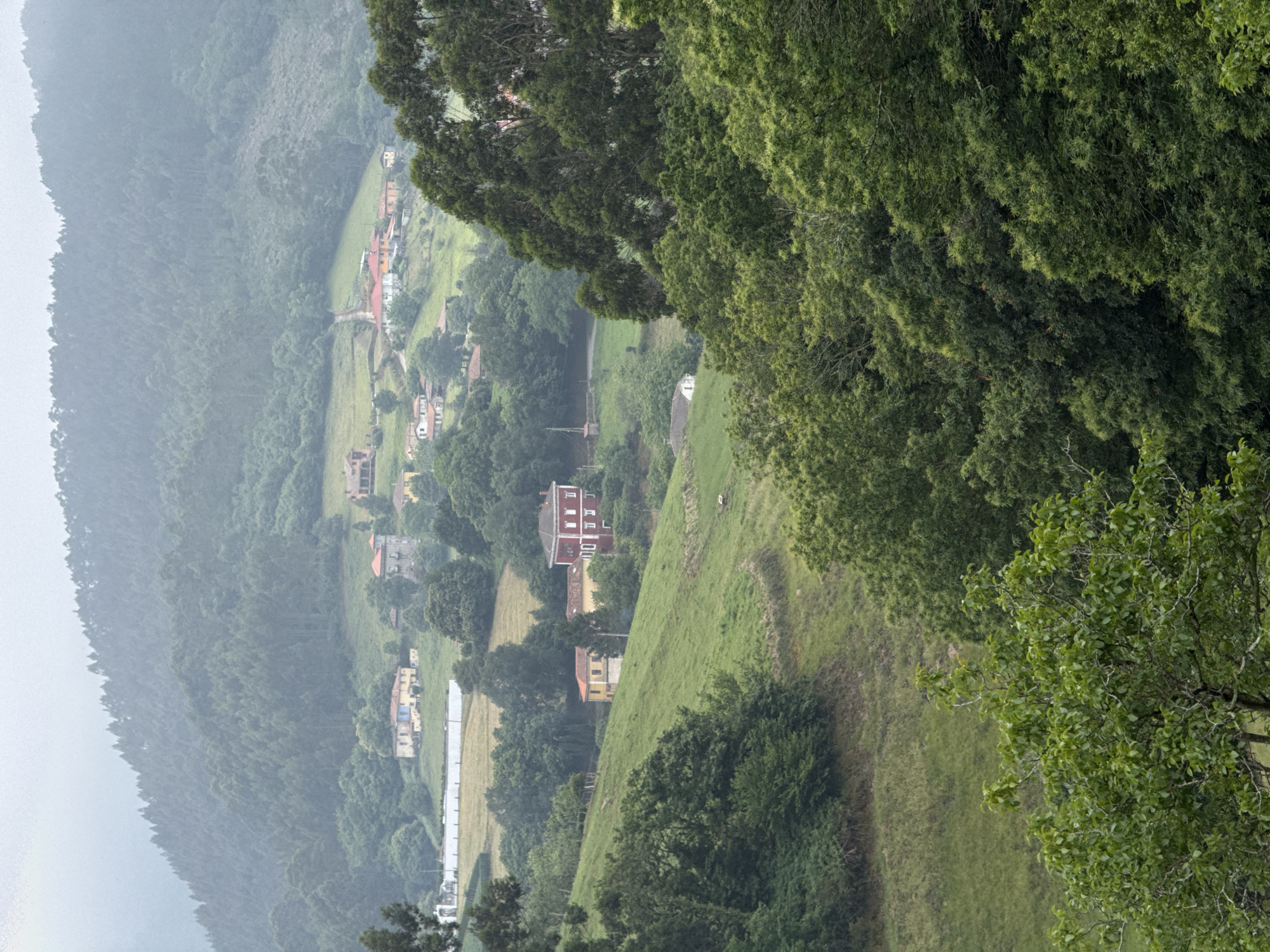 The image captures a panoramic view of a verdant hillside dotted with houses and dense forests, characteristic of the rural landscape surrounding Cudillero, Spain. In the foreground, lush green trees dominate, with their leaves creating a rich tapestry of textures and shades. As the eye moves further into the scene, the landscape unfolds into rolling hills covered in grass, interspersed with clusters of trees. Several houses are visible, nestled within the hills. One prominent building, a striking red structure with white-trimmed windows and a white cornice, stands out among the greenery. Adjacent to it, a yellow house with a terracotta roof adds a splash of color. In the middle ground, a collection of houses forms a small settlement, with some featuring red-tiled roofs. The background is dominated by a heavily forested mountain, its slopes shrouded in a soft, misty haze, suggesting a cool, possibly damp, climate. The overall atmosphere is one of serene natural beauty and rural tranquility.
