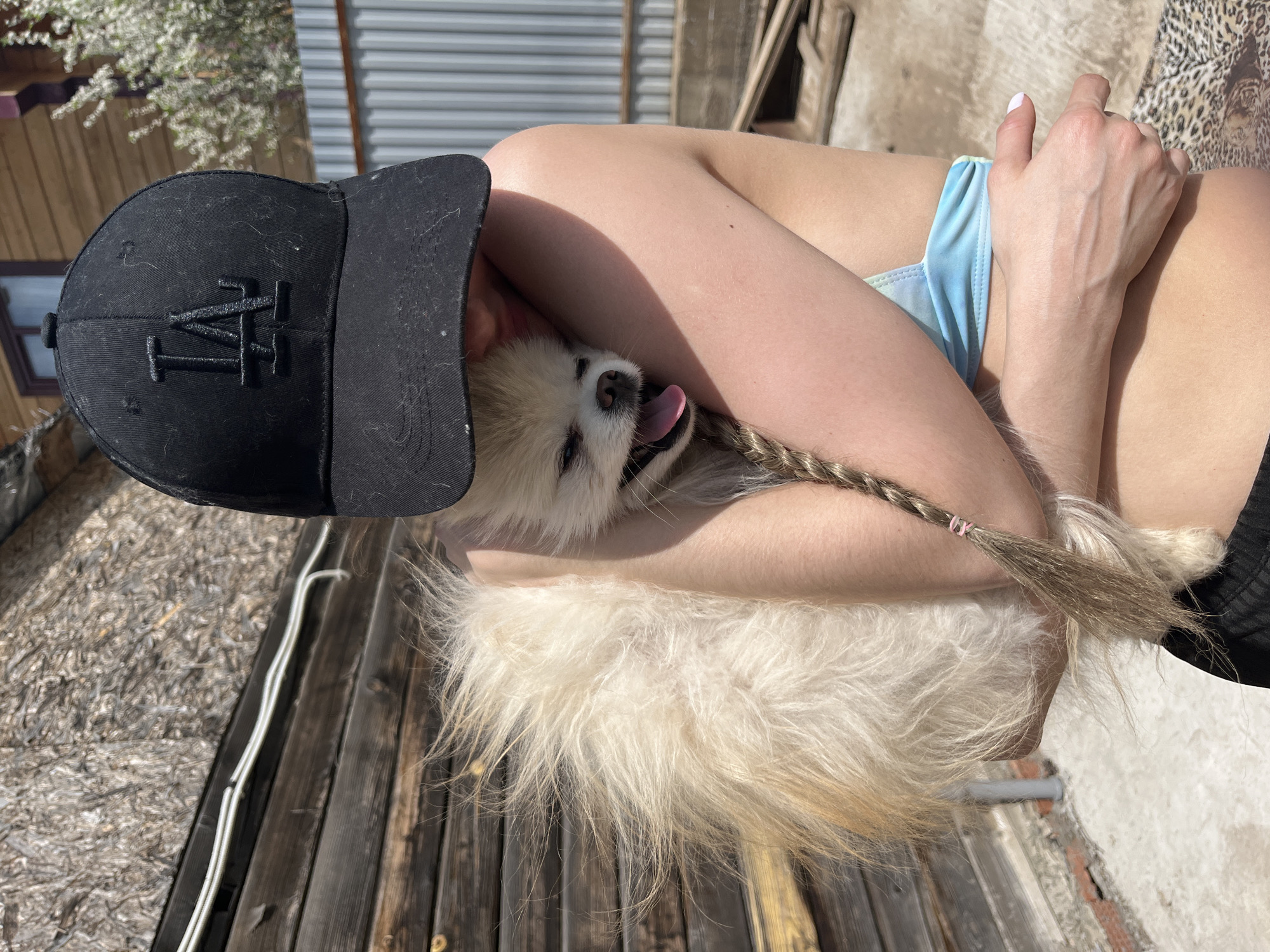 A person wearing a black baseball cap is holding a small, fluffy dog in their arms. The dog is panting with its tongue visible. The person is wearing a light blue top and has braided hair. The background consists of wooden planks and a glimpse of a building with white blossoms nearby. The location is outdoors, but further details about Izhevsk, Russia, are not discernible from the image.